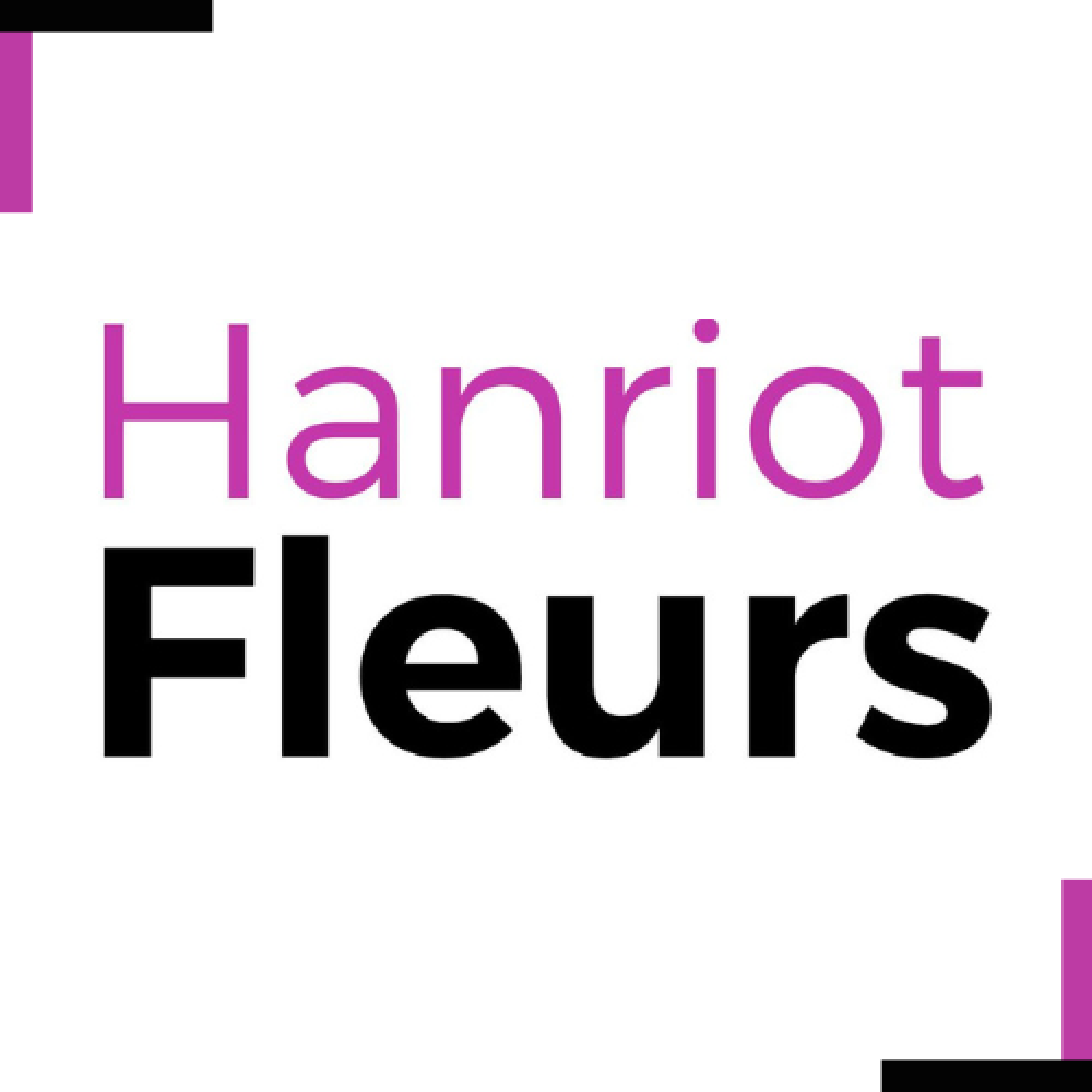 Arbuste à fleurs - ARBRE À PAPILLONS