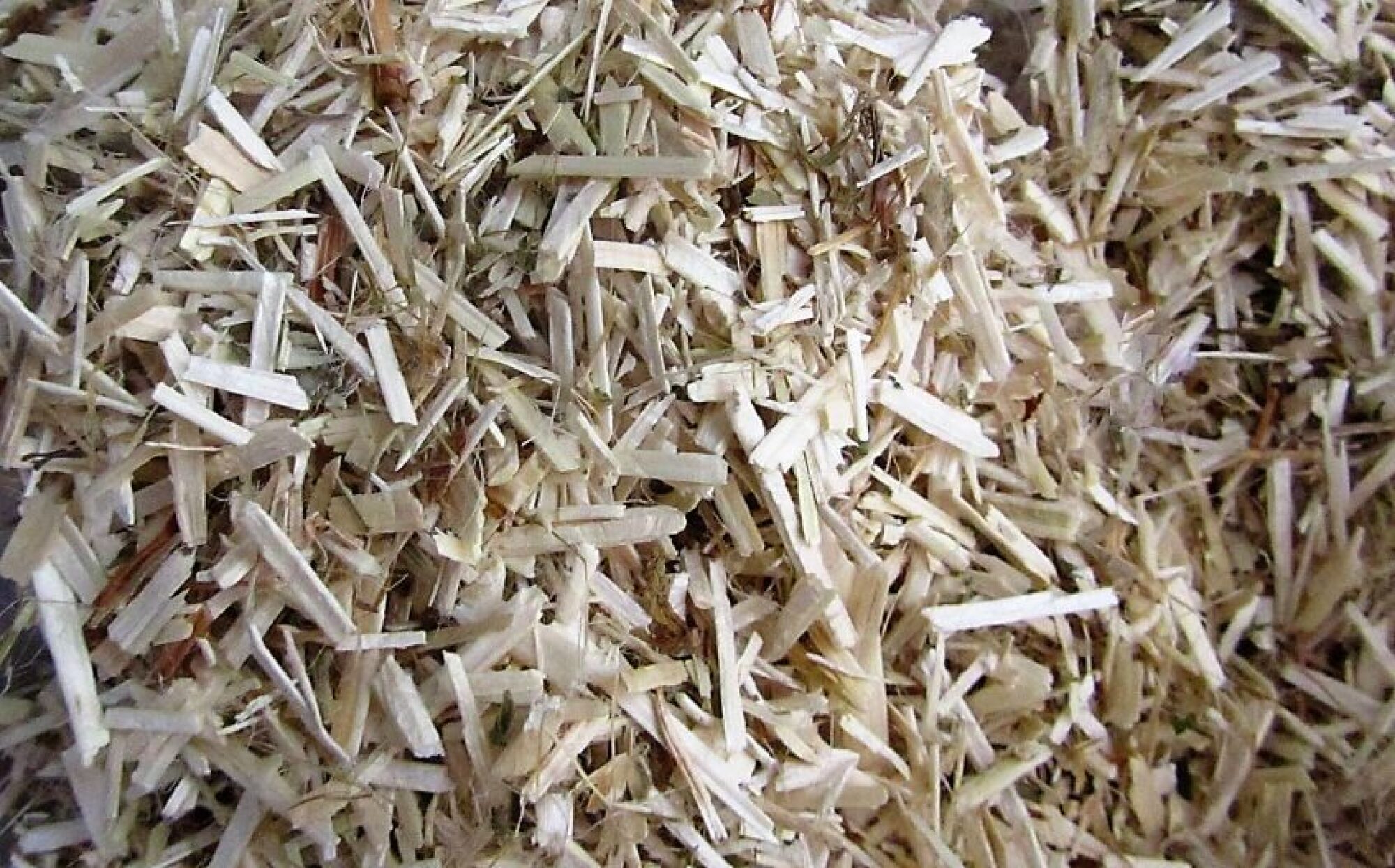 Paillage : chènevotte chanvre