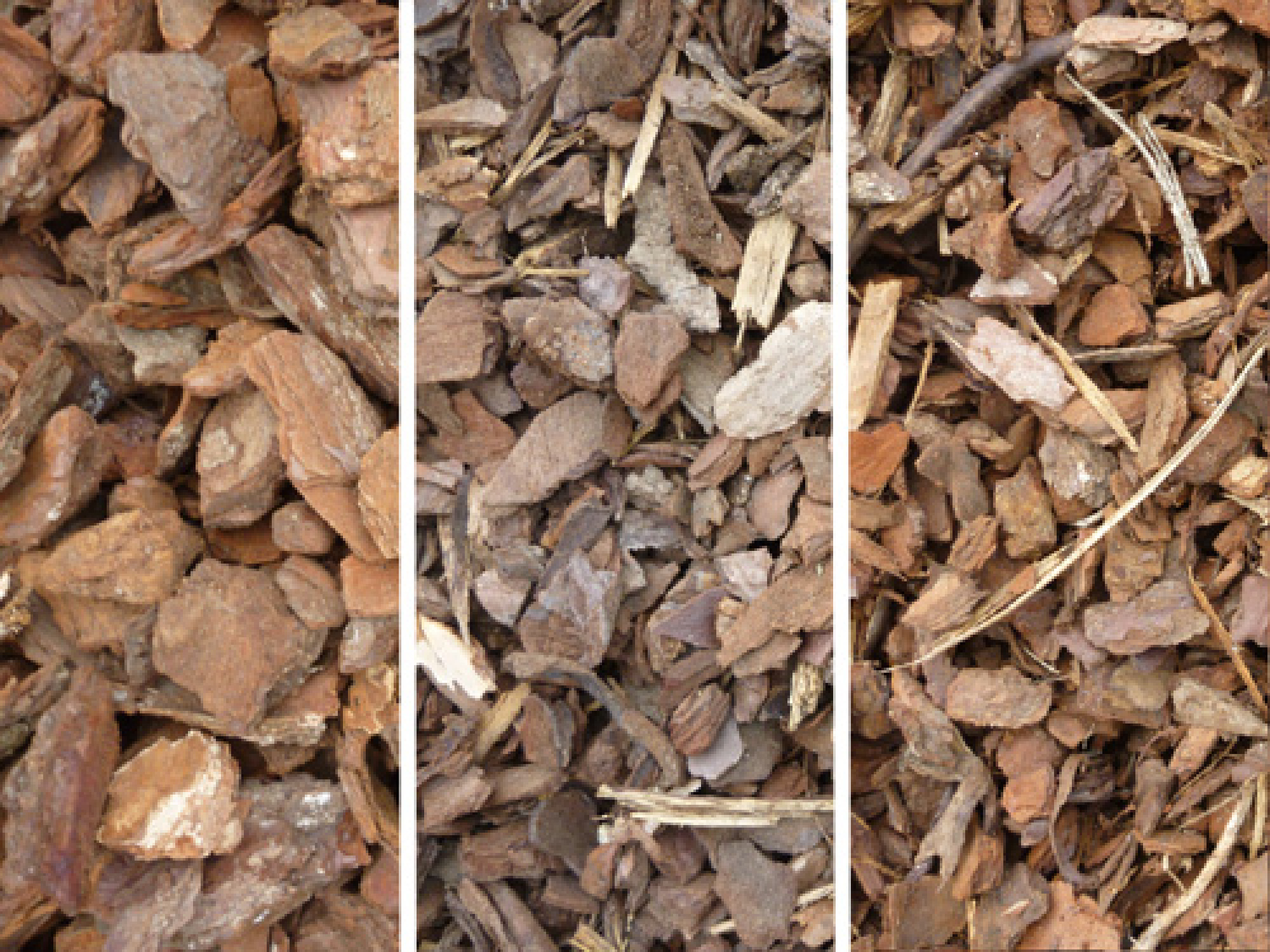 Paillage : écorces de pin maritime (calibre 10/20)