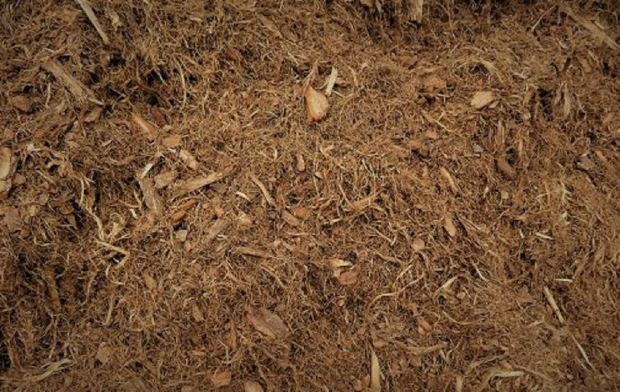 Paillage : fibres de peuplier