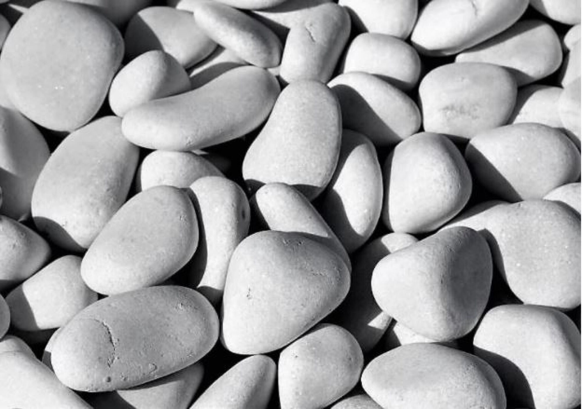 Paillage minéral : galets blancs calibre 24/40