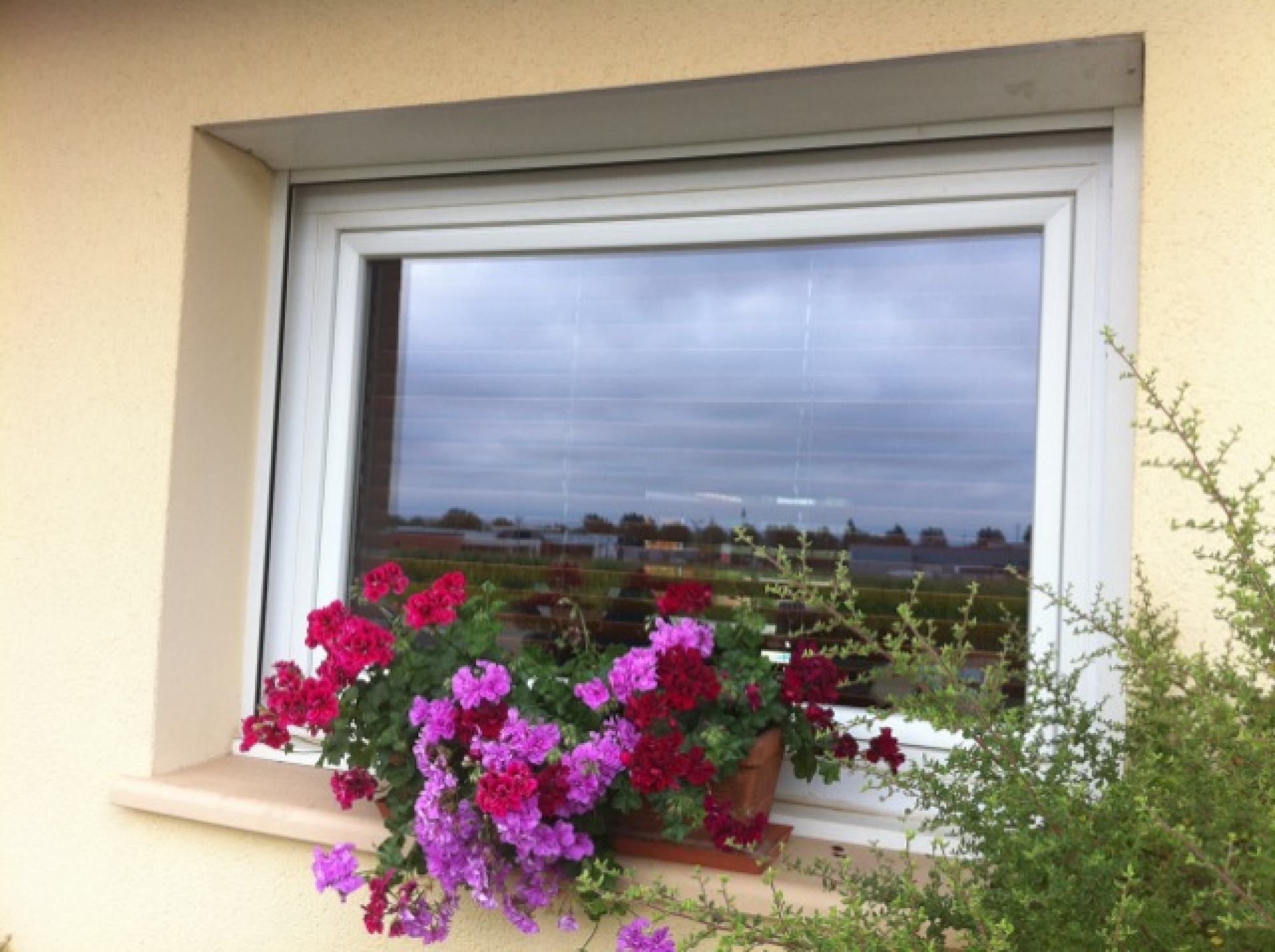 Pose de fenêtre pvc sur mesure