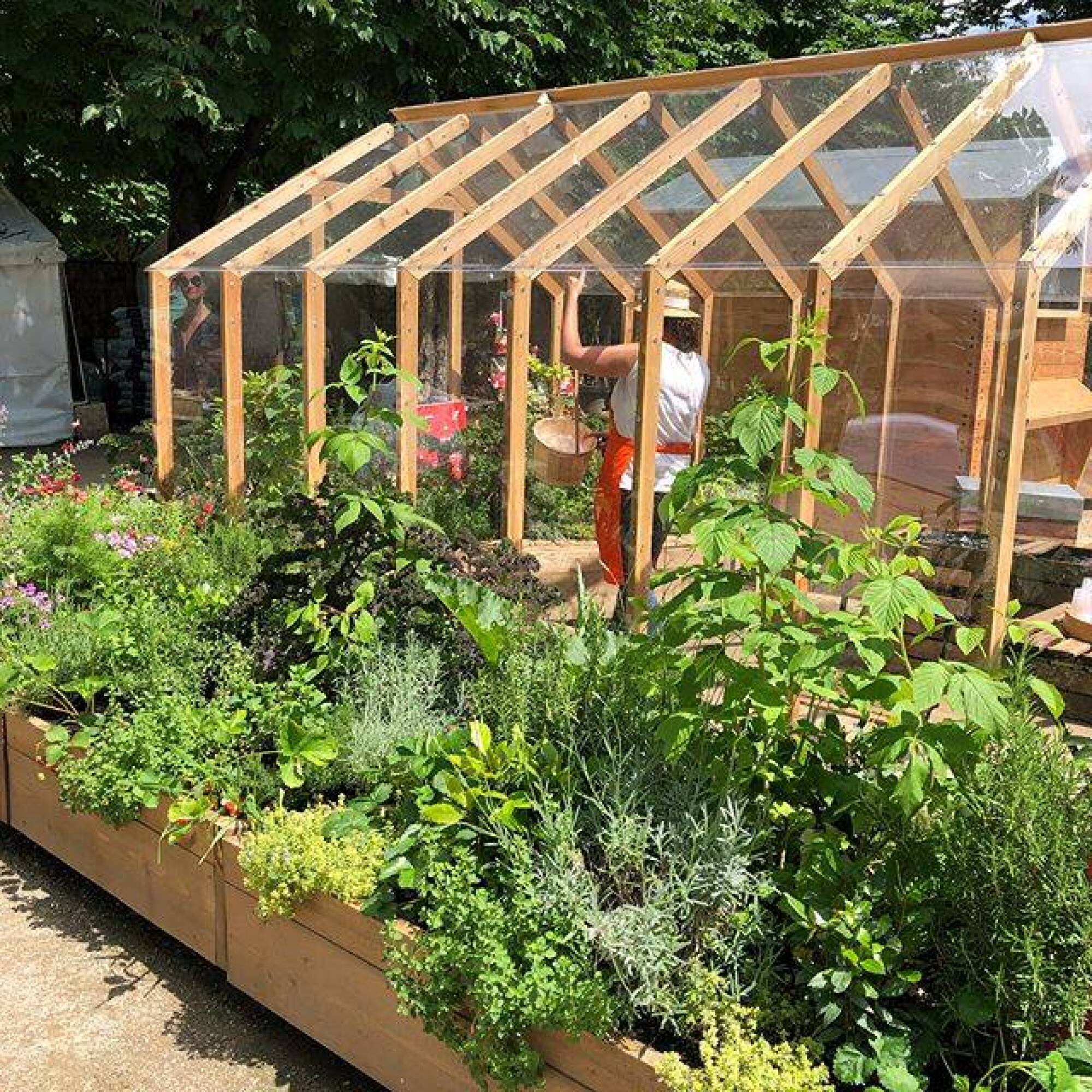 Serre de jardin en bois cléophée 10m² dans le Var