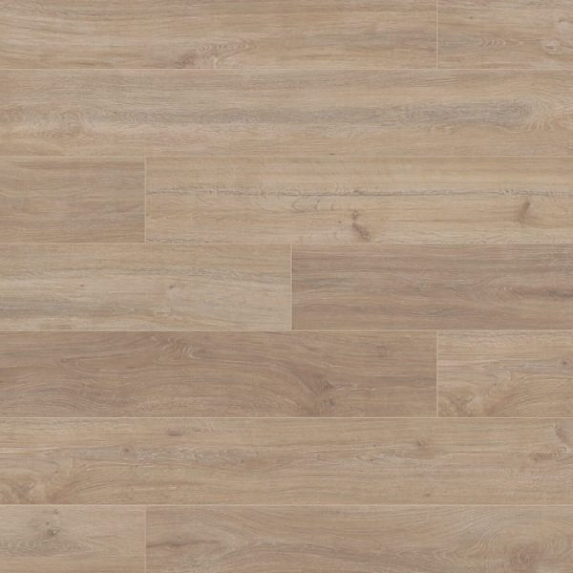 Sol stratifie 4 chanfreins 22003000249 5966 khaki oak 9.90€ ttc/m²