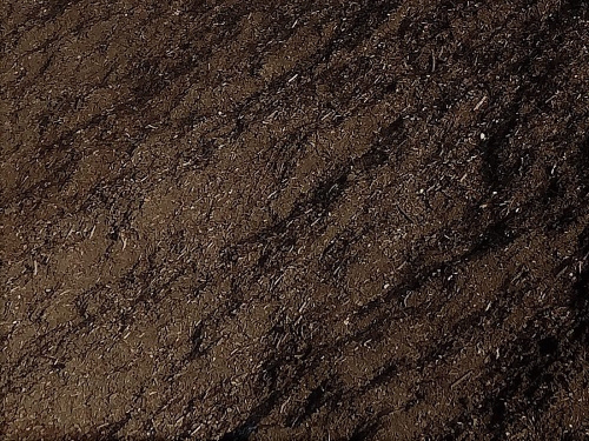 Support de culture : compost