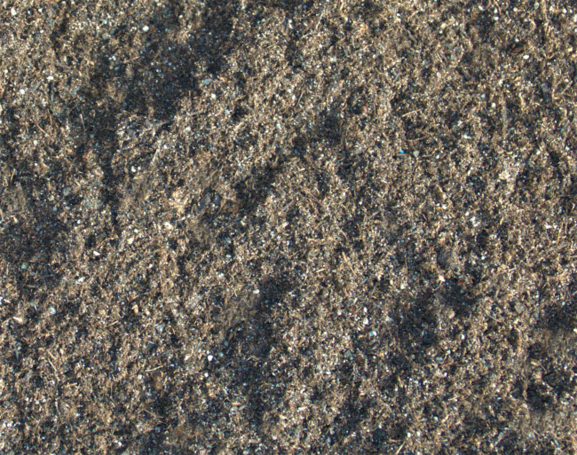 Support de culture : terreau horticole