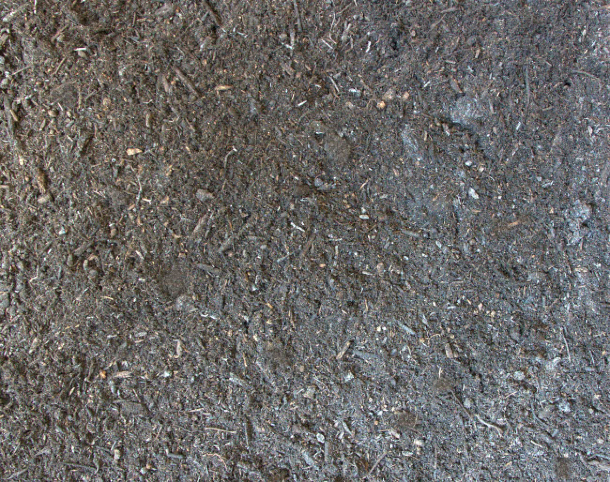 Support de culture : terreau plantation