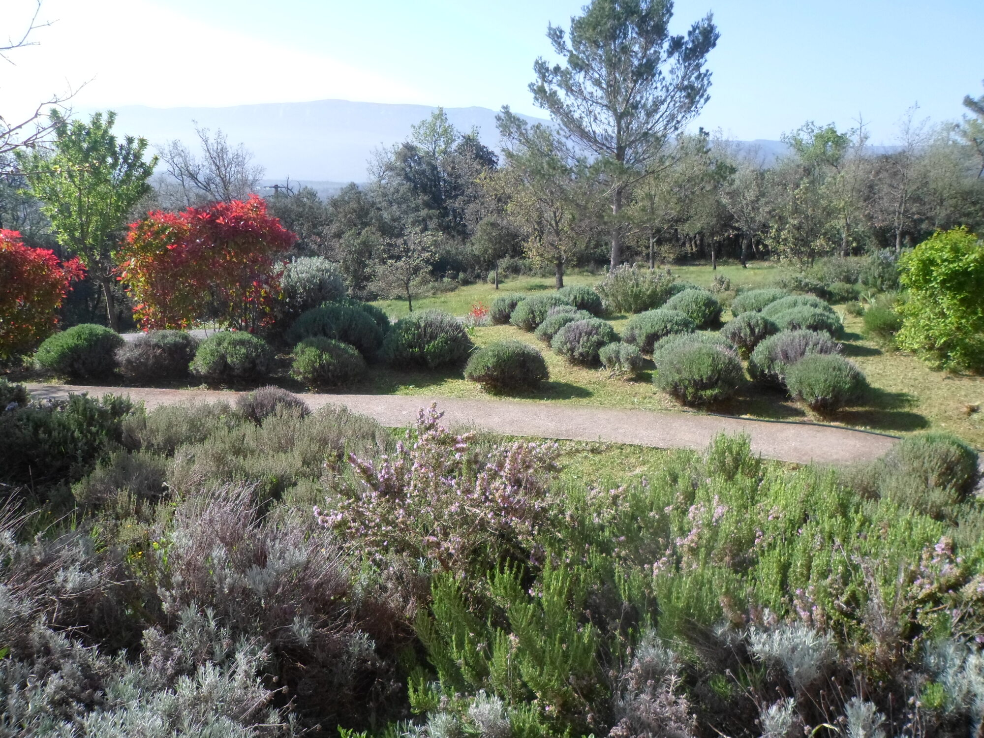 Créations de jardin dans le Var et les Bouches du Rhône