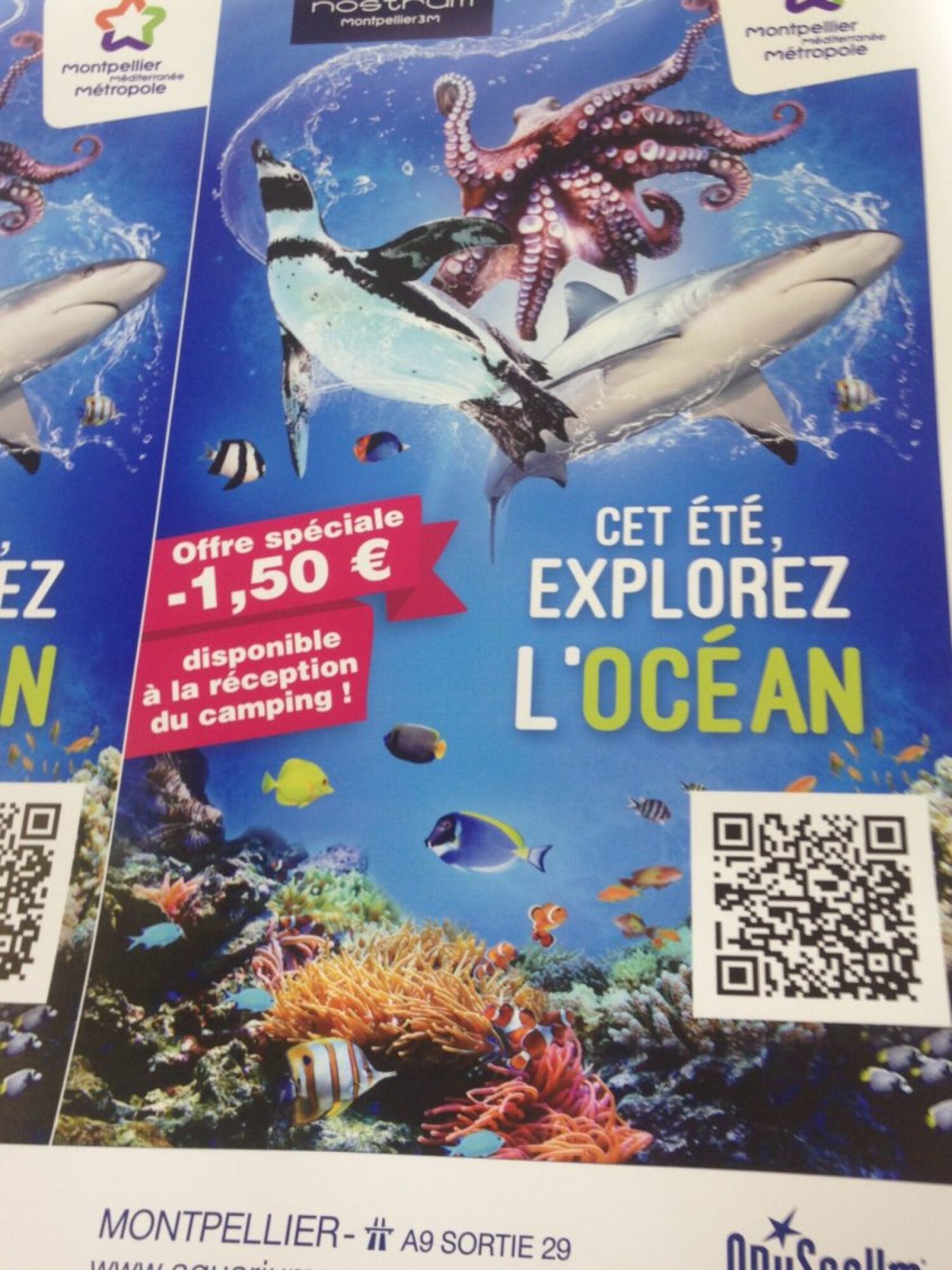 Impression affiche couleur recto format A1