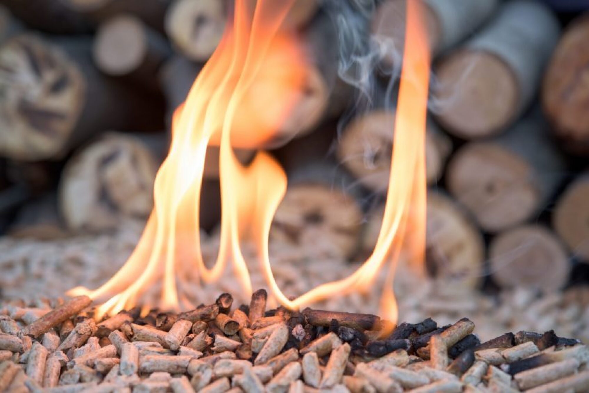 Pose poêle à bois Haas + Sohn