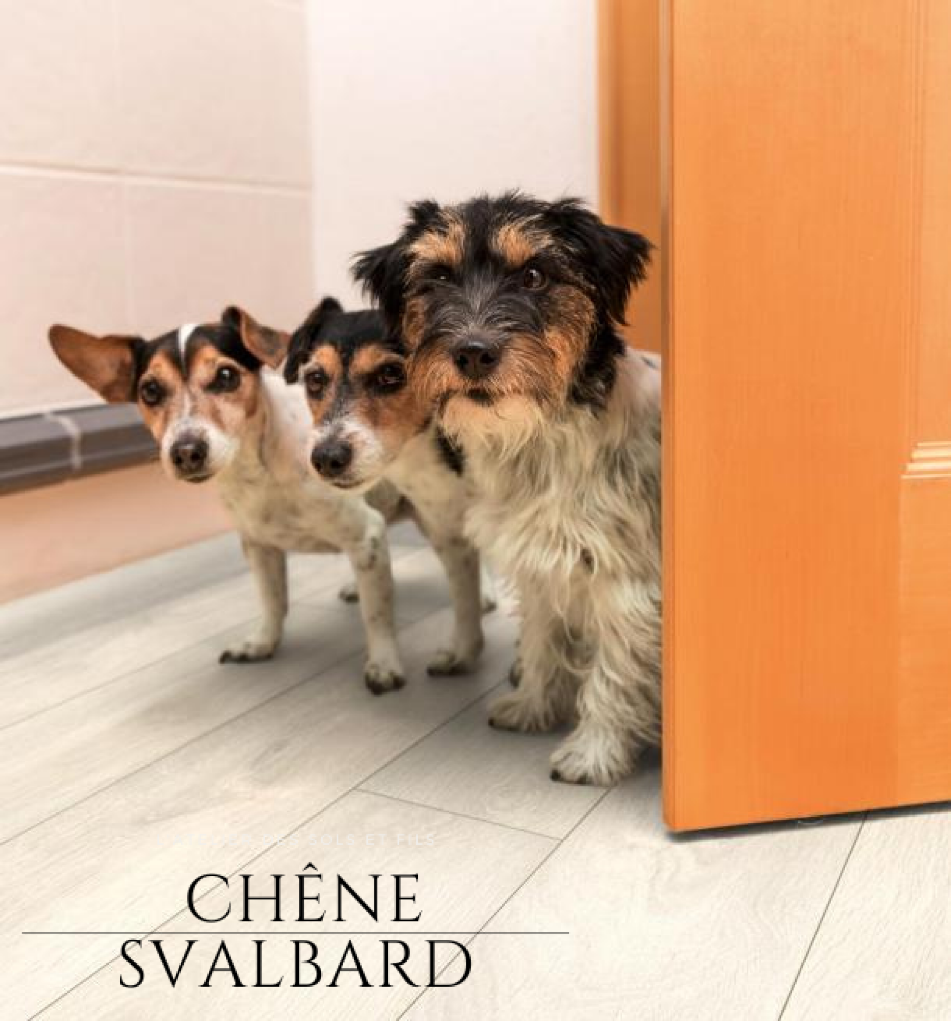 Parquet stratifié hydrofuge 8MM 4 CHANFREINS