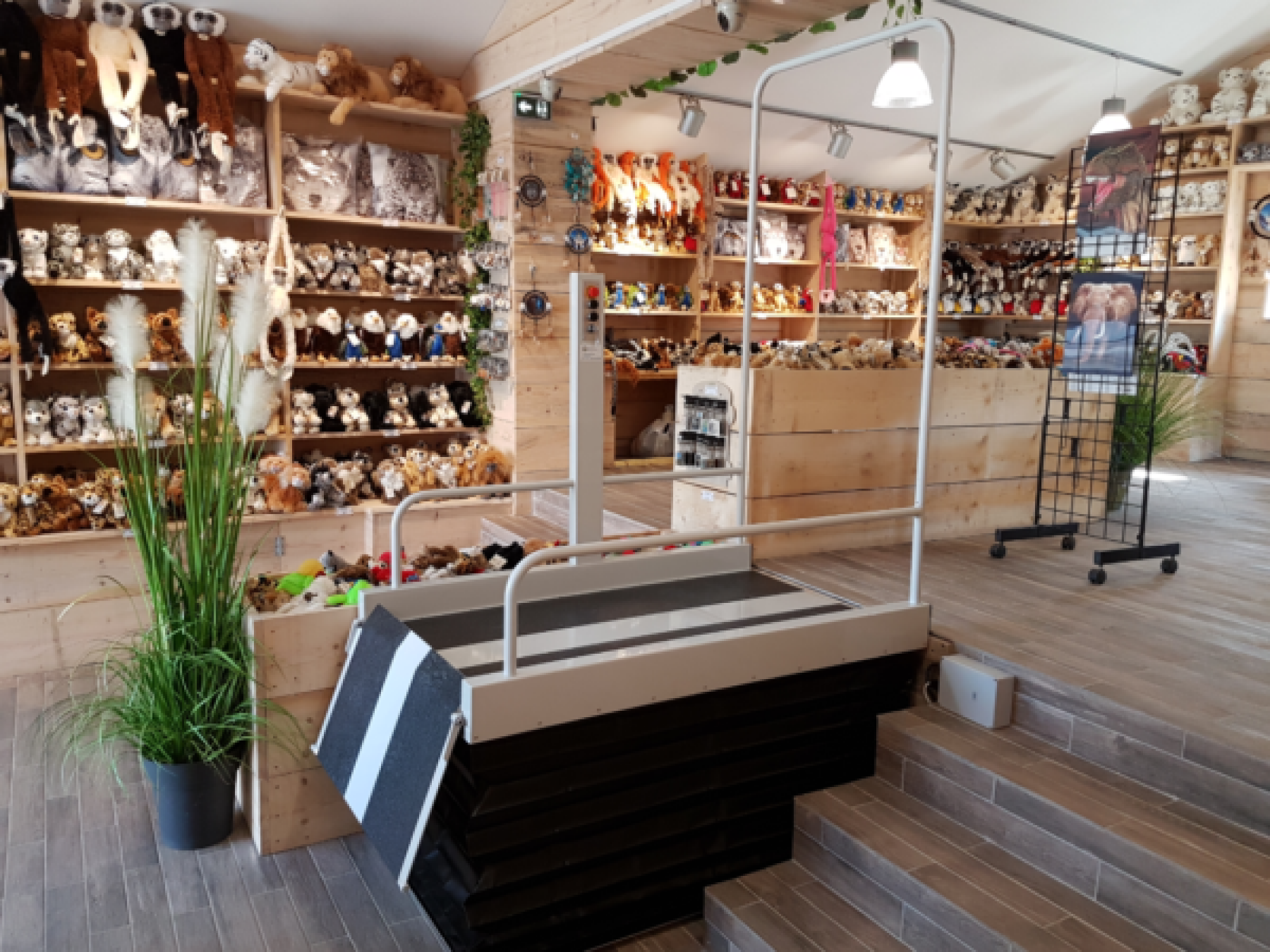 Monte escalier Assistep