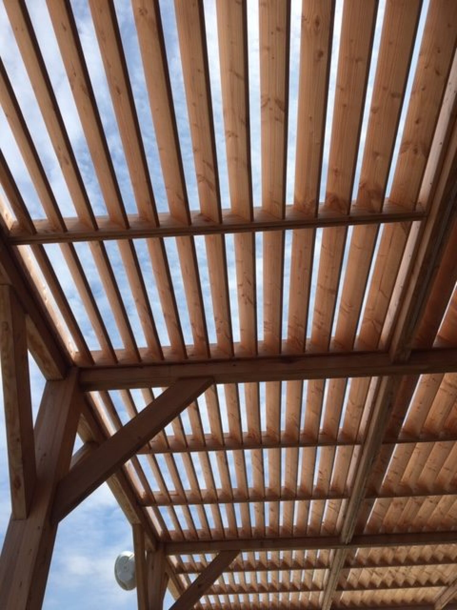 Création pergola en bois