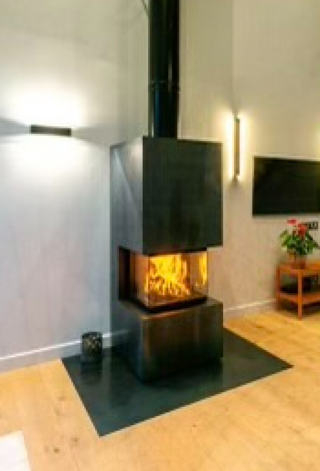 Poêle-cheminée CELTIS – RUEGG