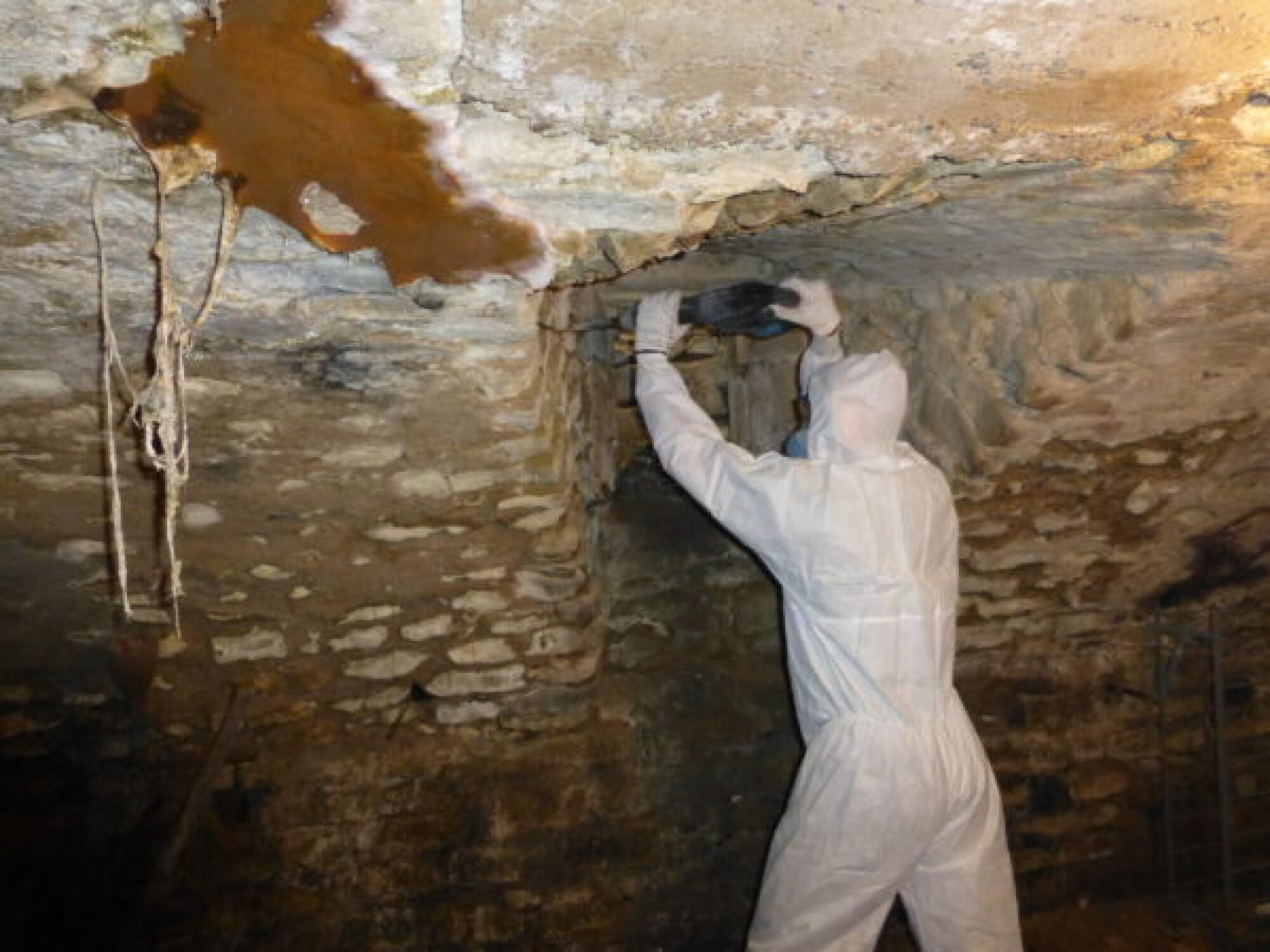 Traitement contre les champignons (mérule) et les moisissures