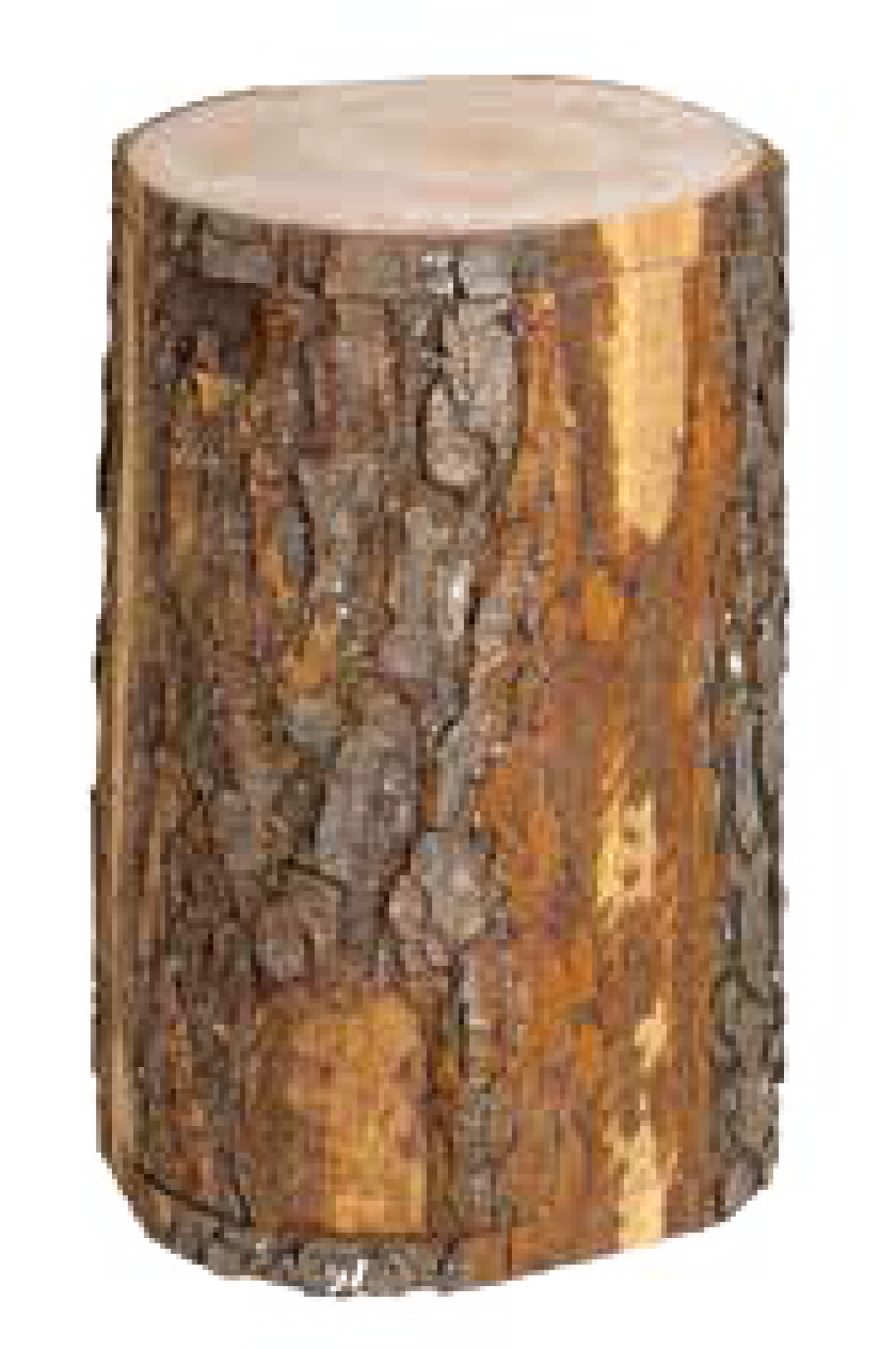 Urne funéraire en aulne bois brut