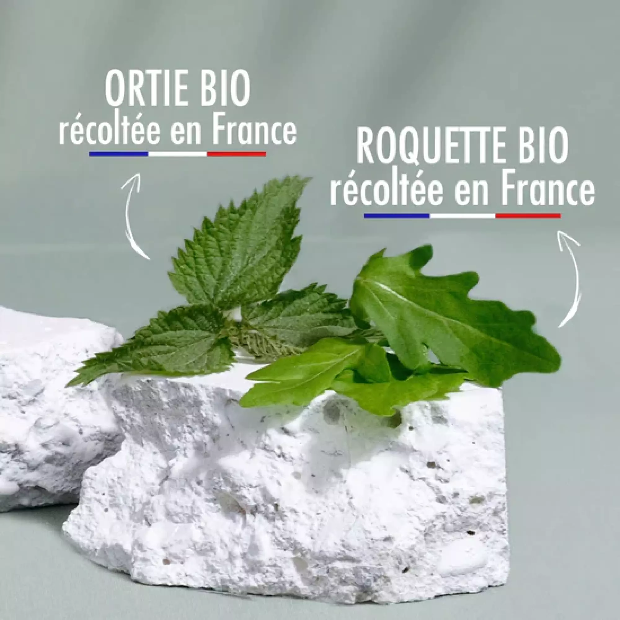 Super-Gummies Cheveux Bio