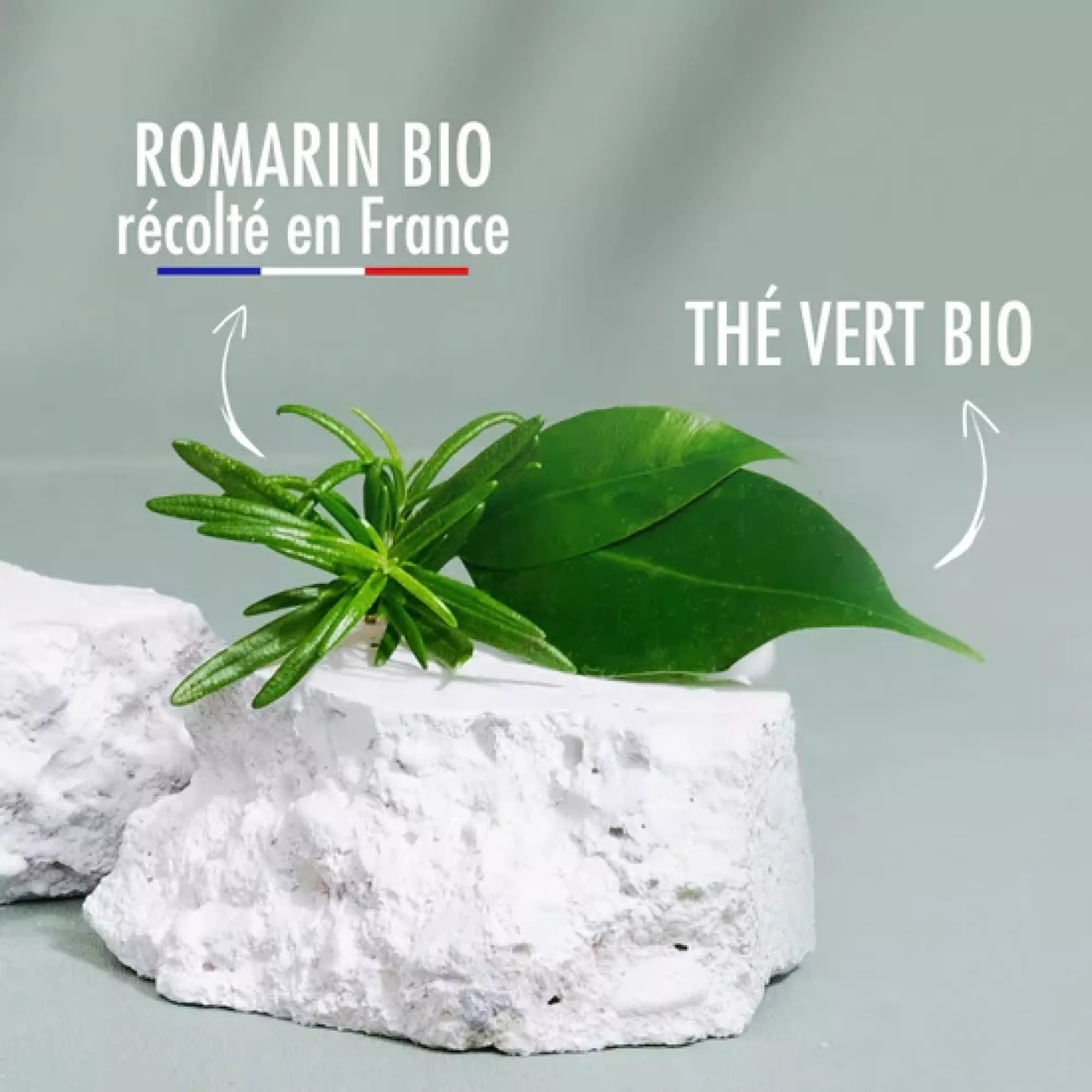 Super-Gummies Immunité Bio