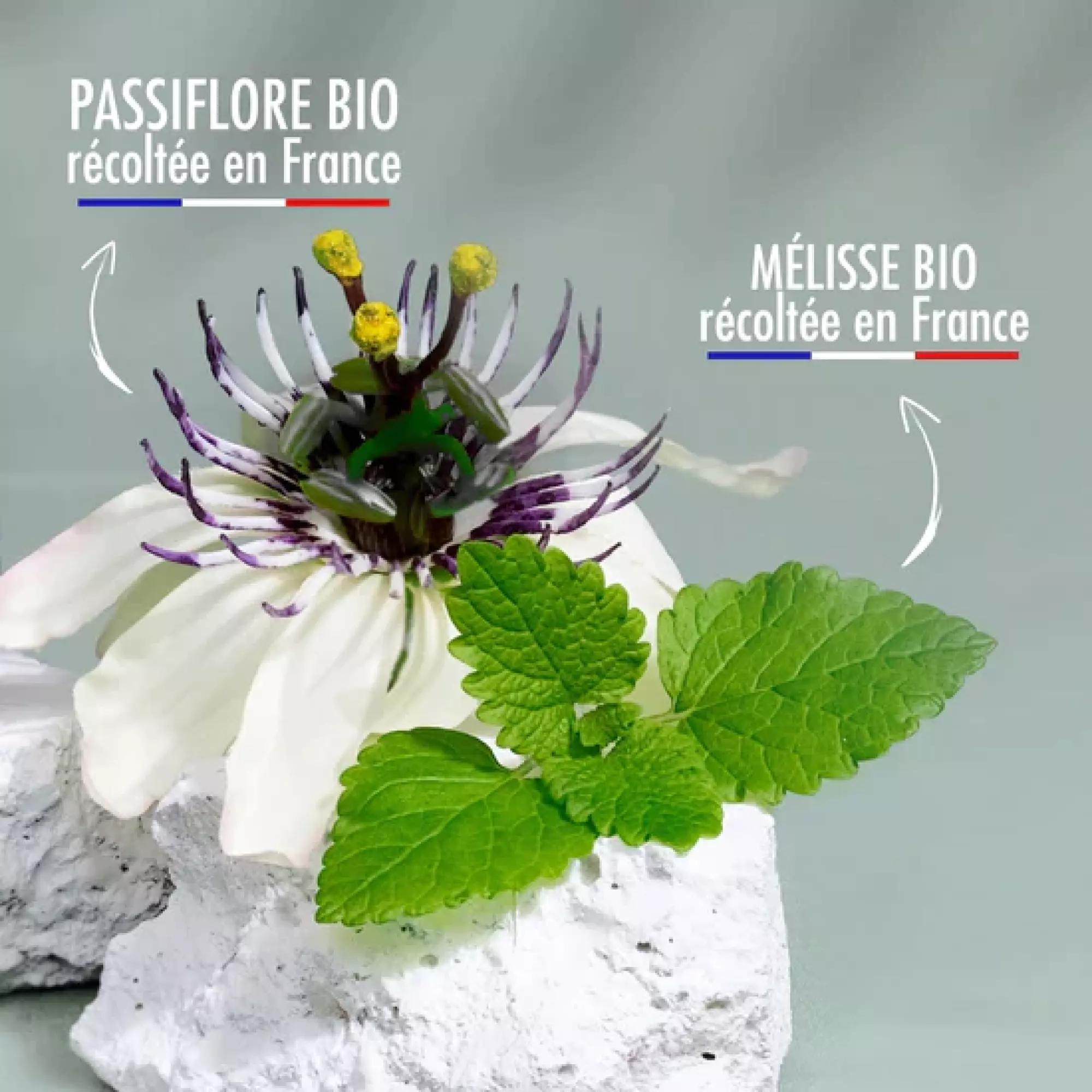 Super-Gummies Sommeil Bio