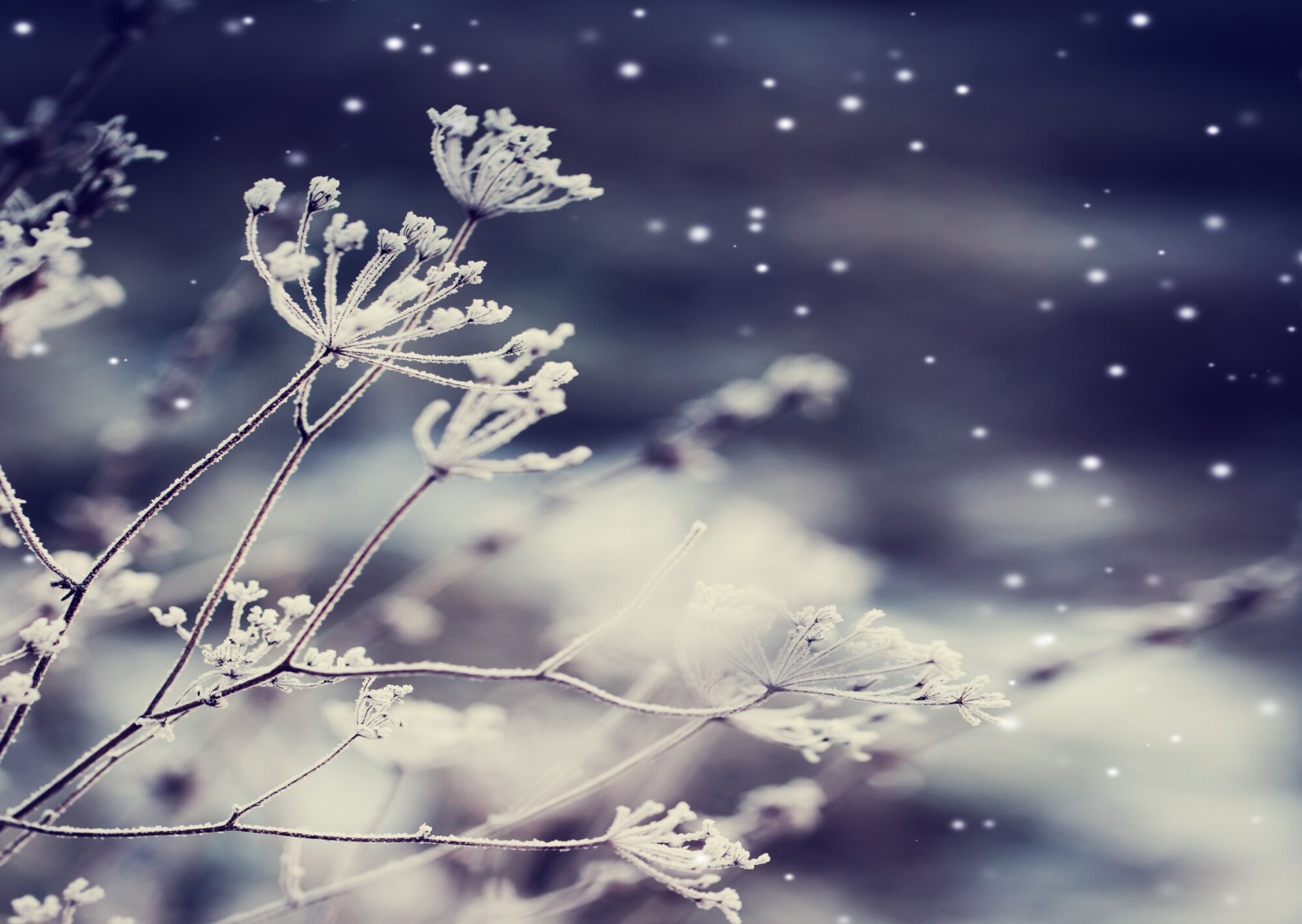 Voyage réceptif à la carte