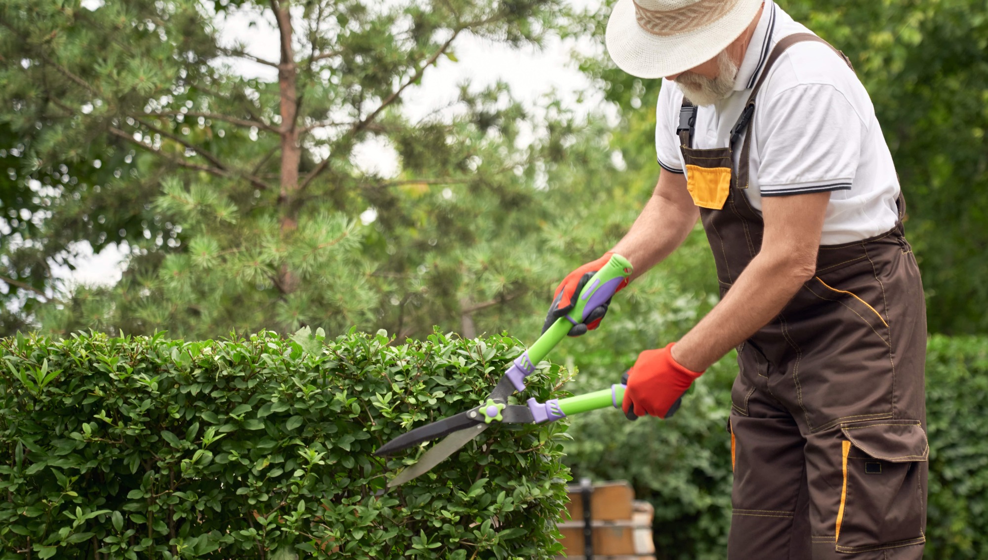 Sécateur à deux mains