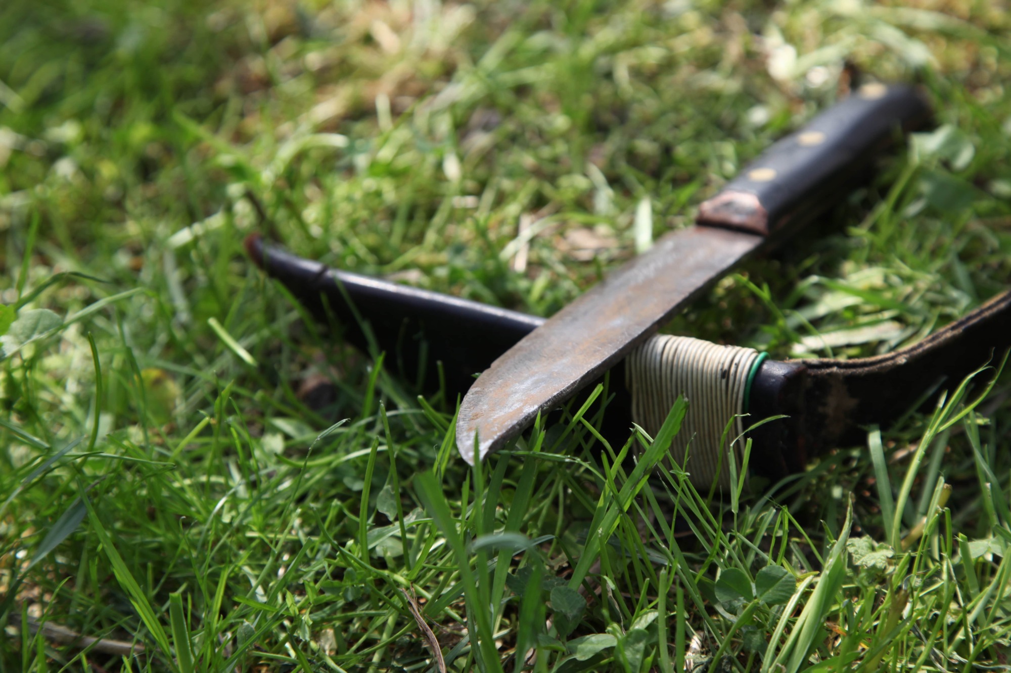 Affûtage de couteaux désherbeur