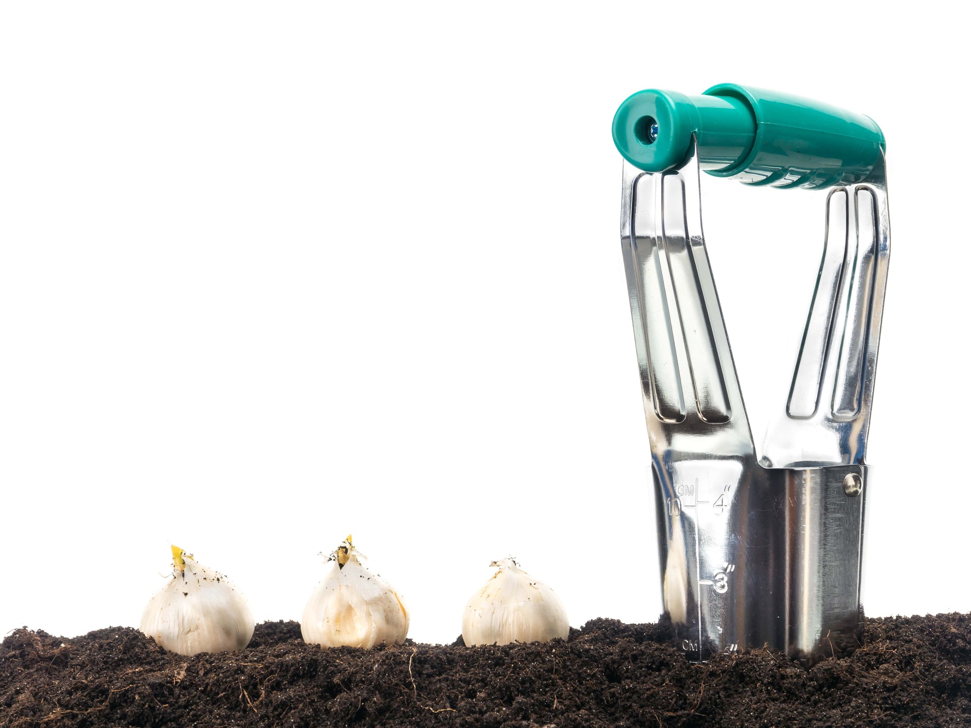 Affûtage de plantoirs à bulbes