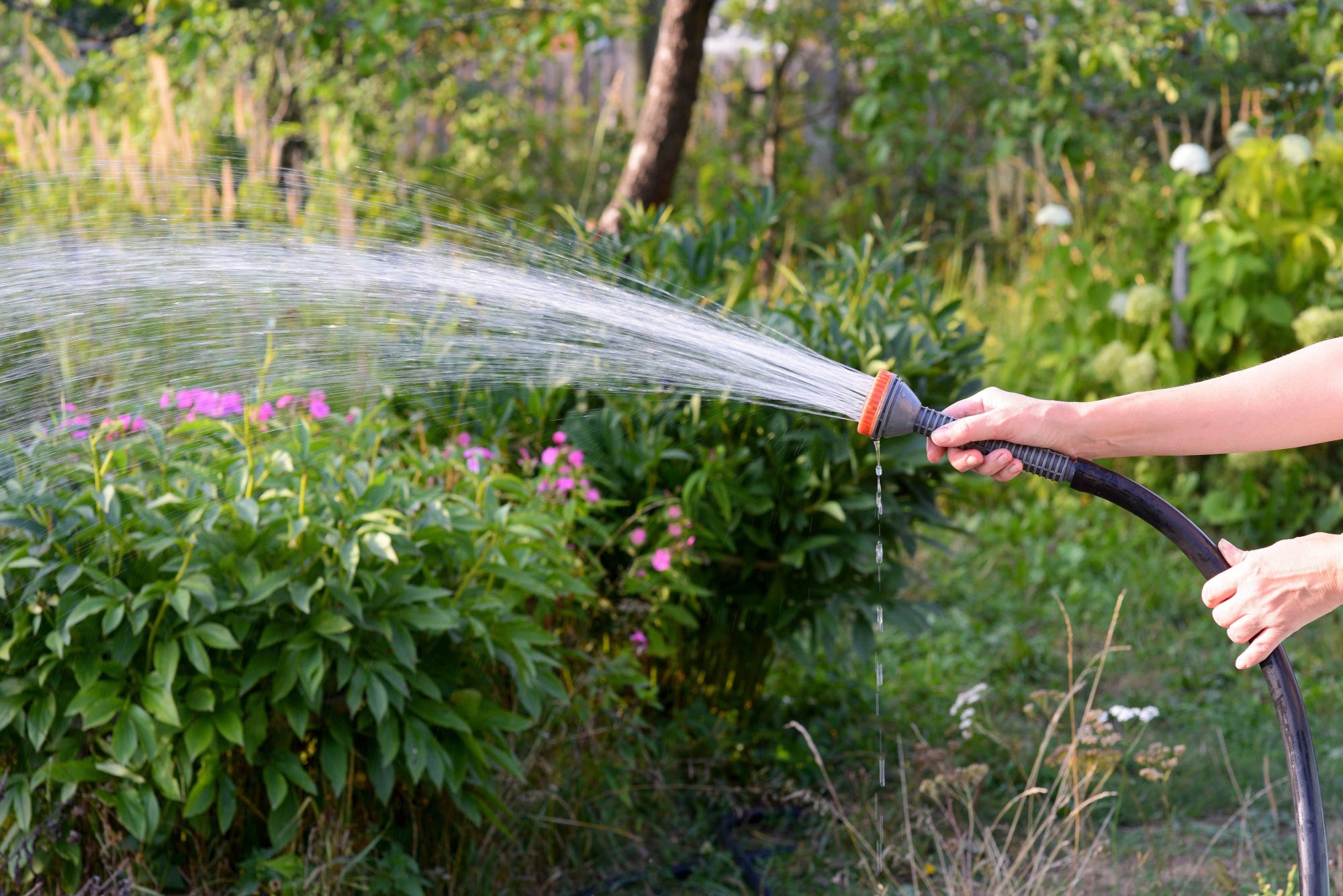 Tuyaux d'arrosage extensibles