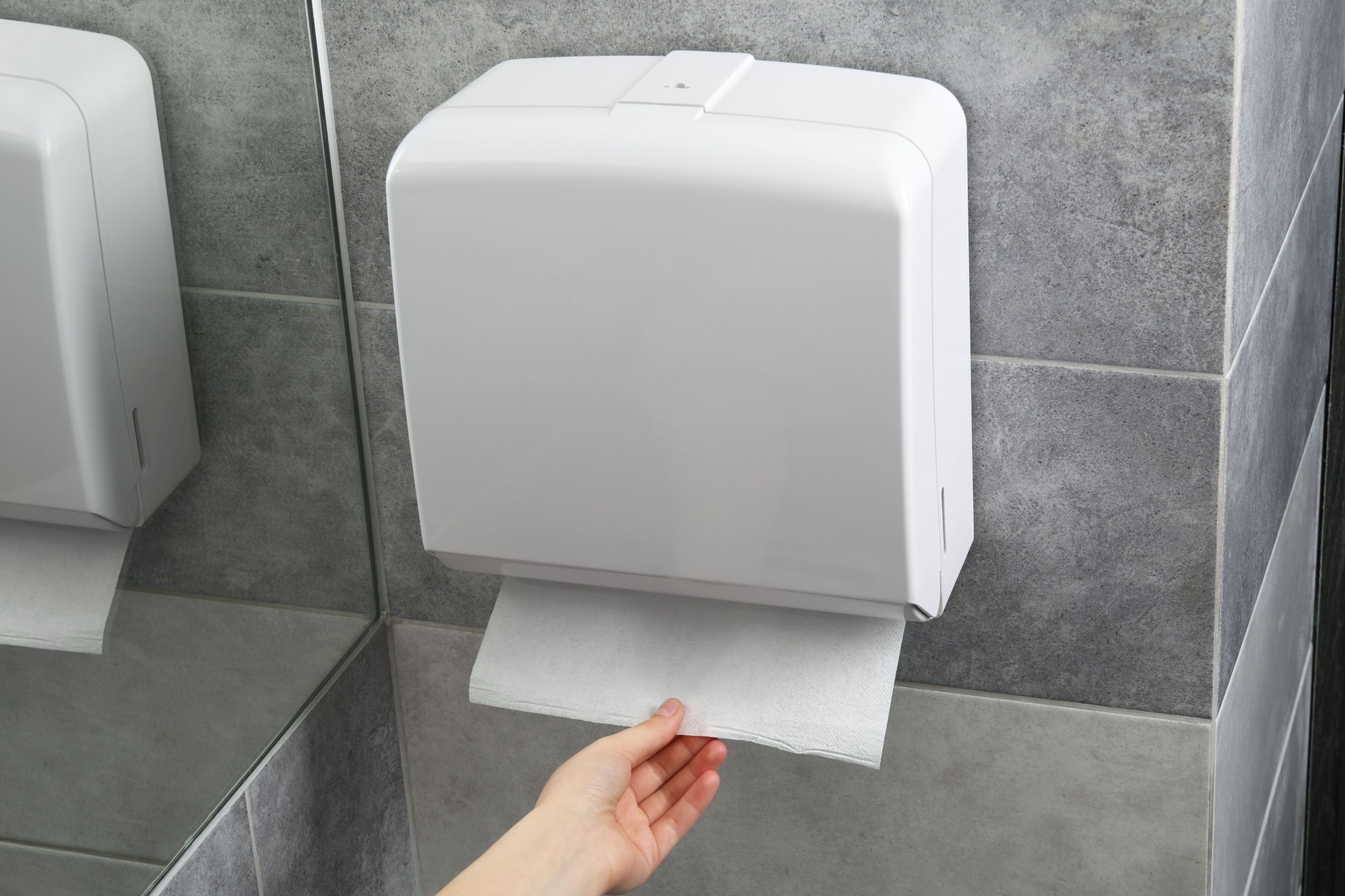 Vente distributeur essuie-mains