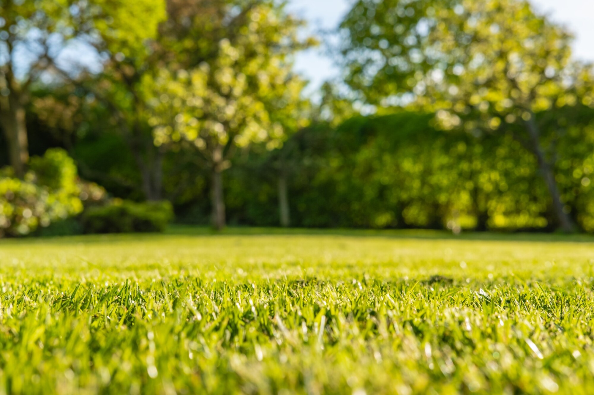 Rénovation de jardin