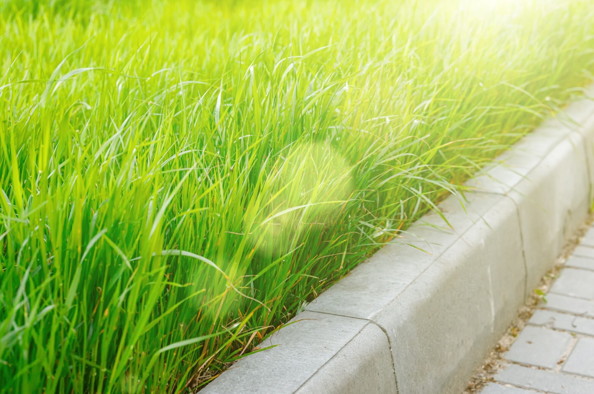 Vente de margelle pour piscine