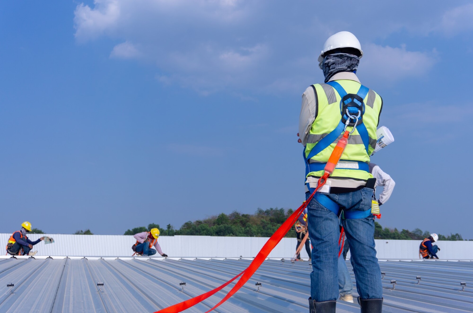 Ligne de vie et longes