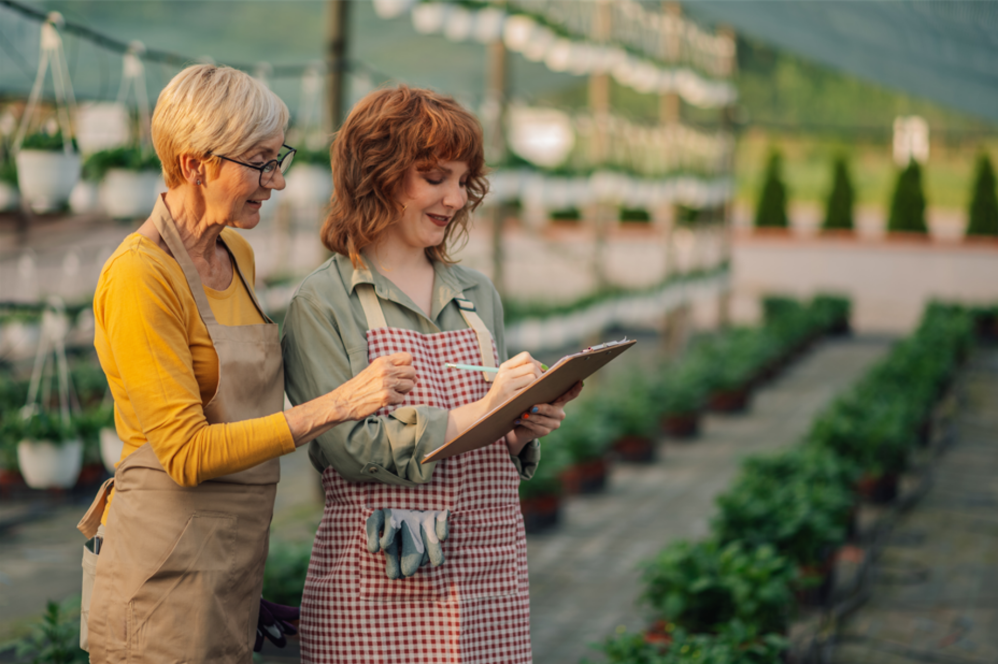 Conseils pour jardiniers amateurs