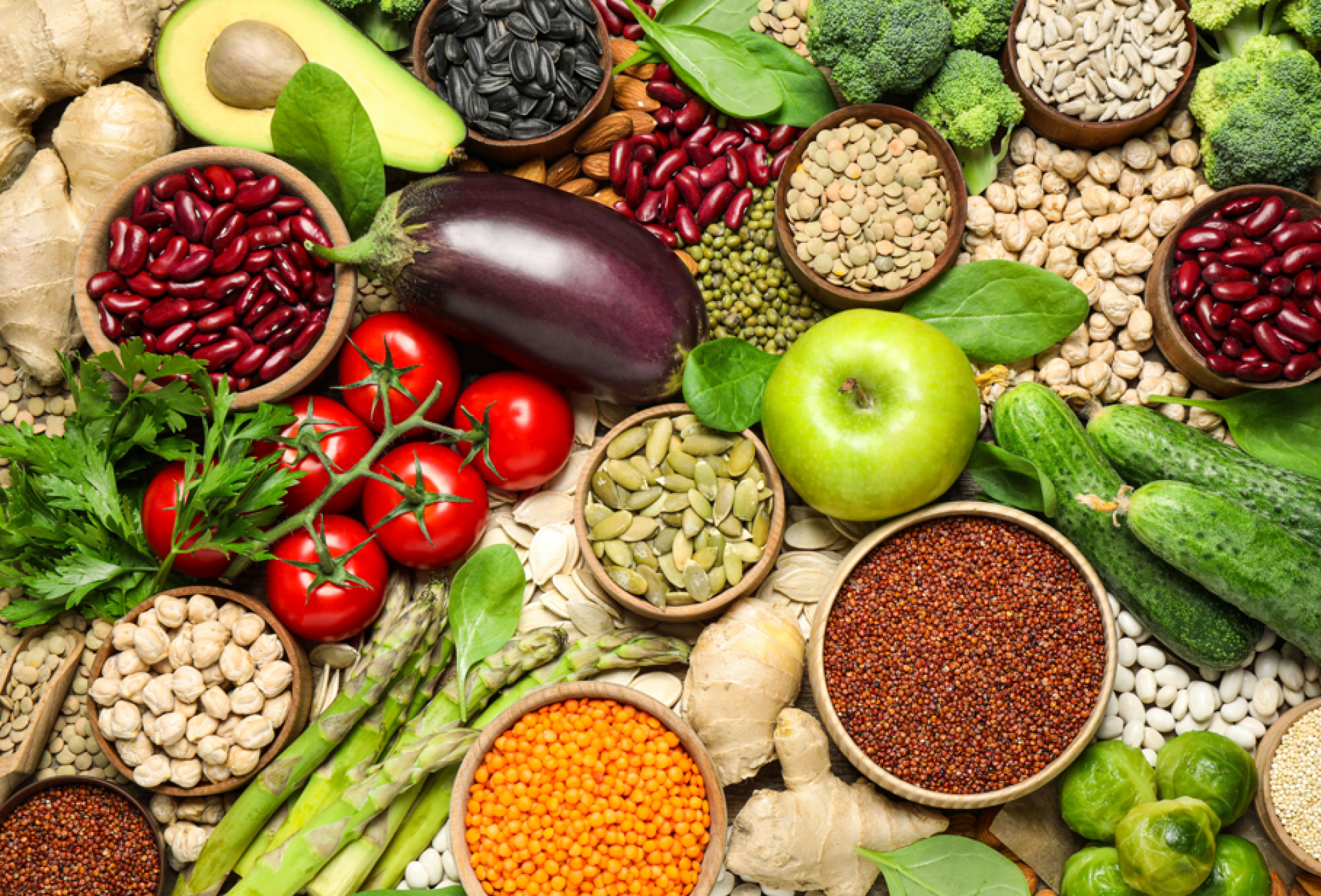 Cultivation de graines de légumes