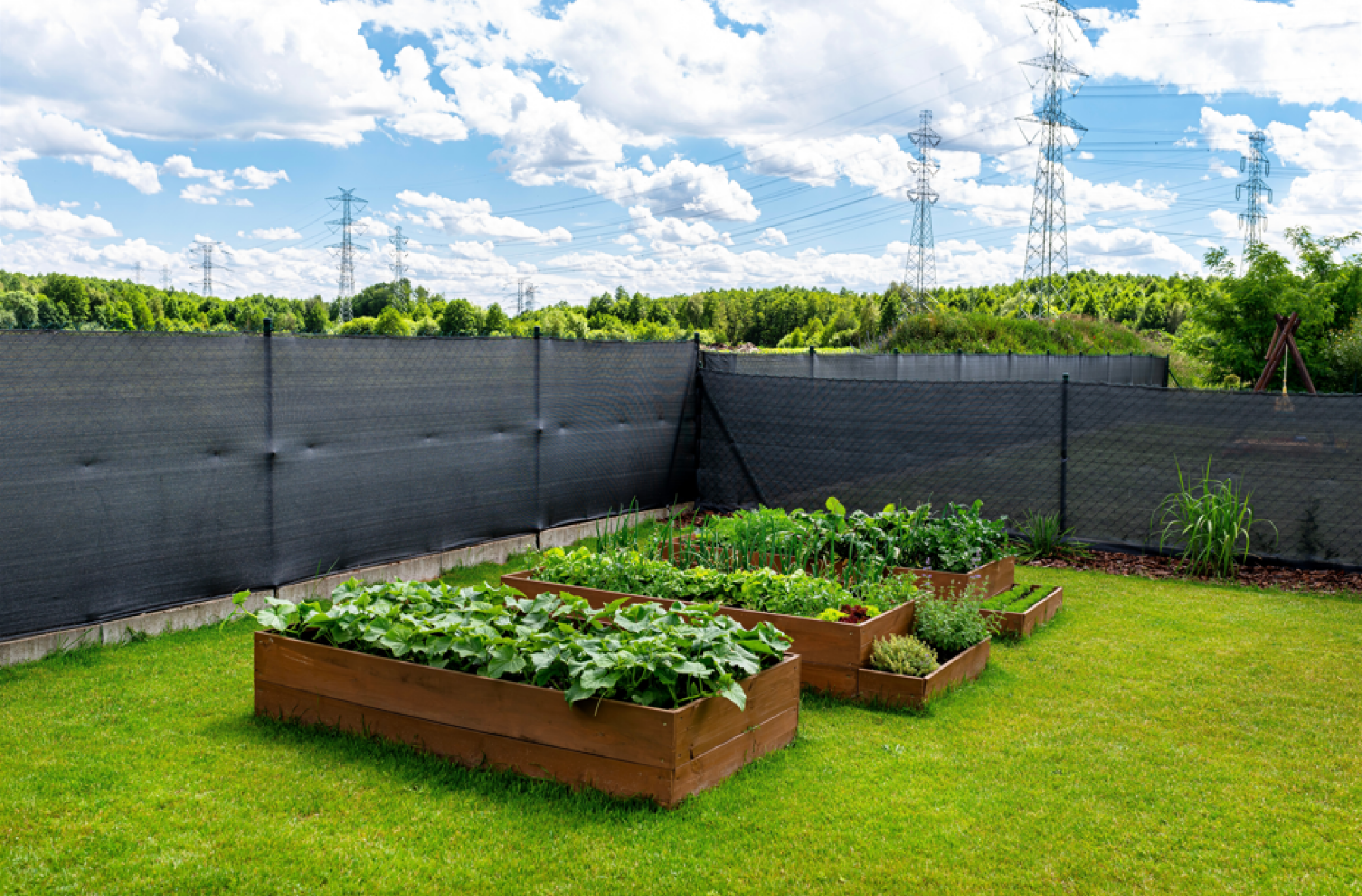 Installation de brise-vue en bois