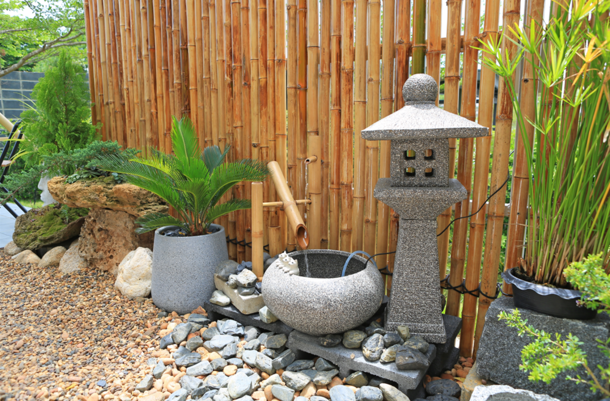 Installation de clôture en bambou