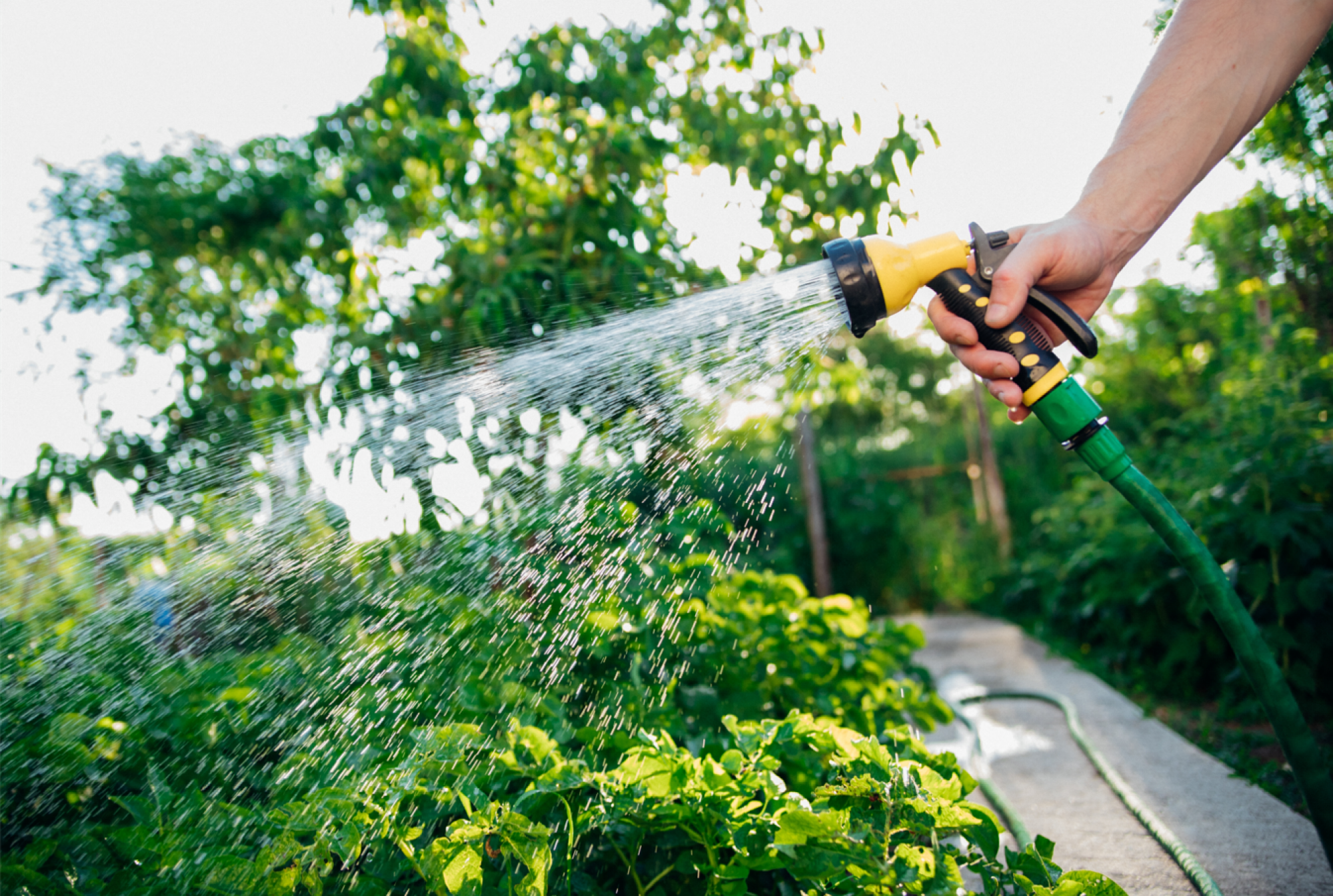 Installation de kit d'arrosage