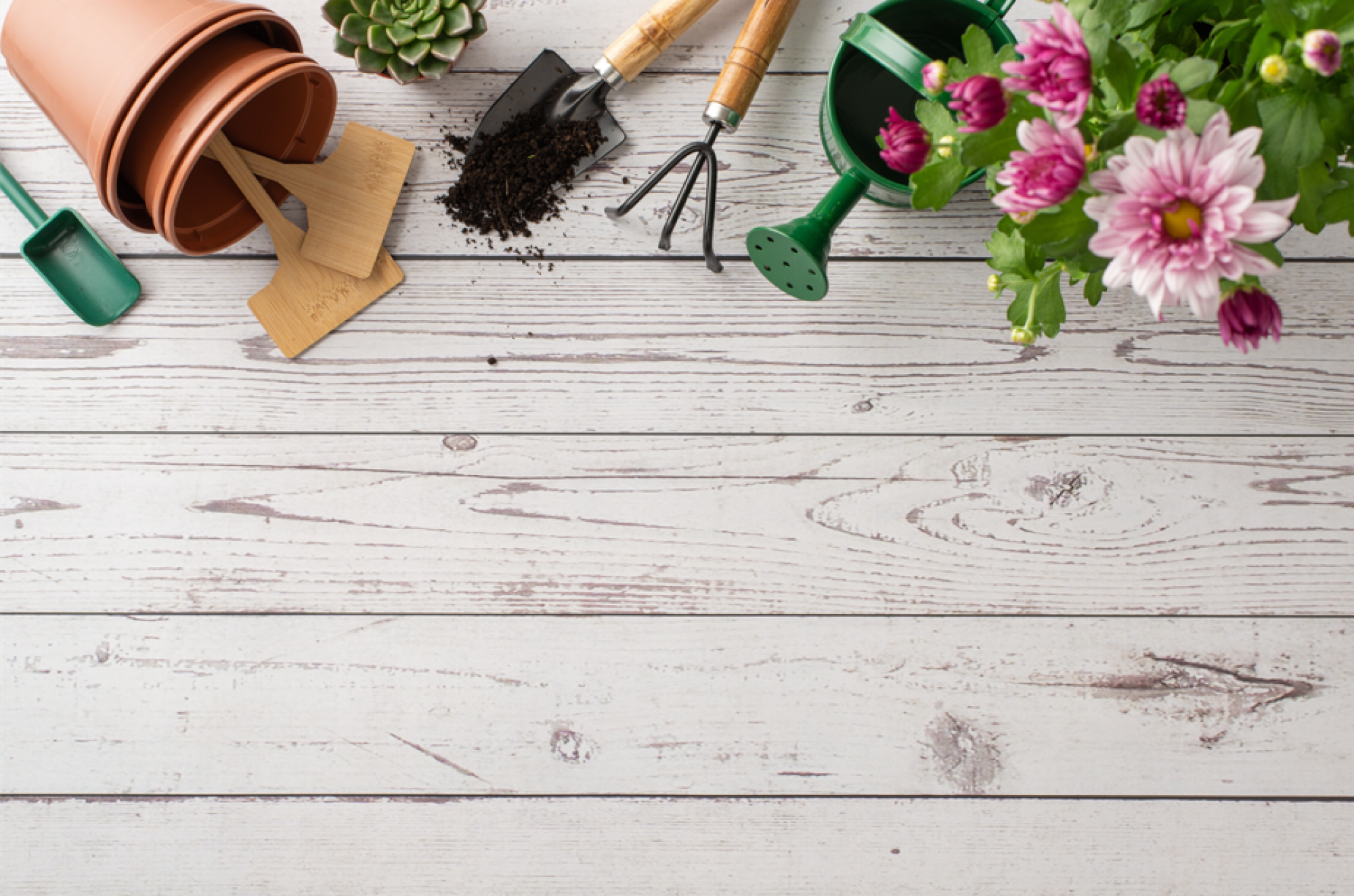 Installation de matériel de jardinage