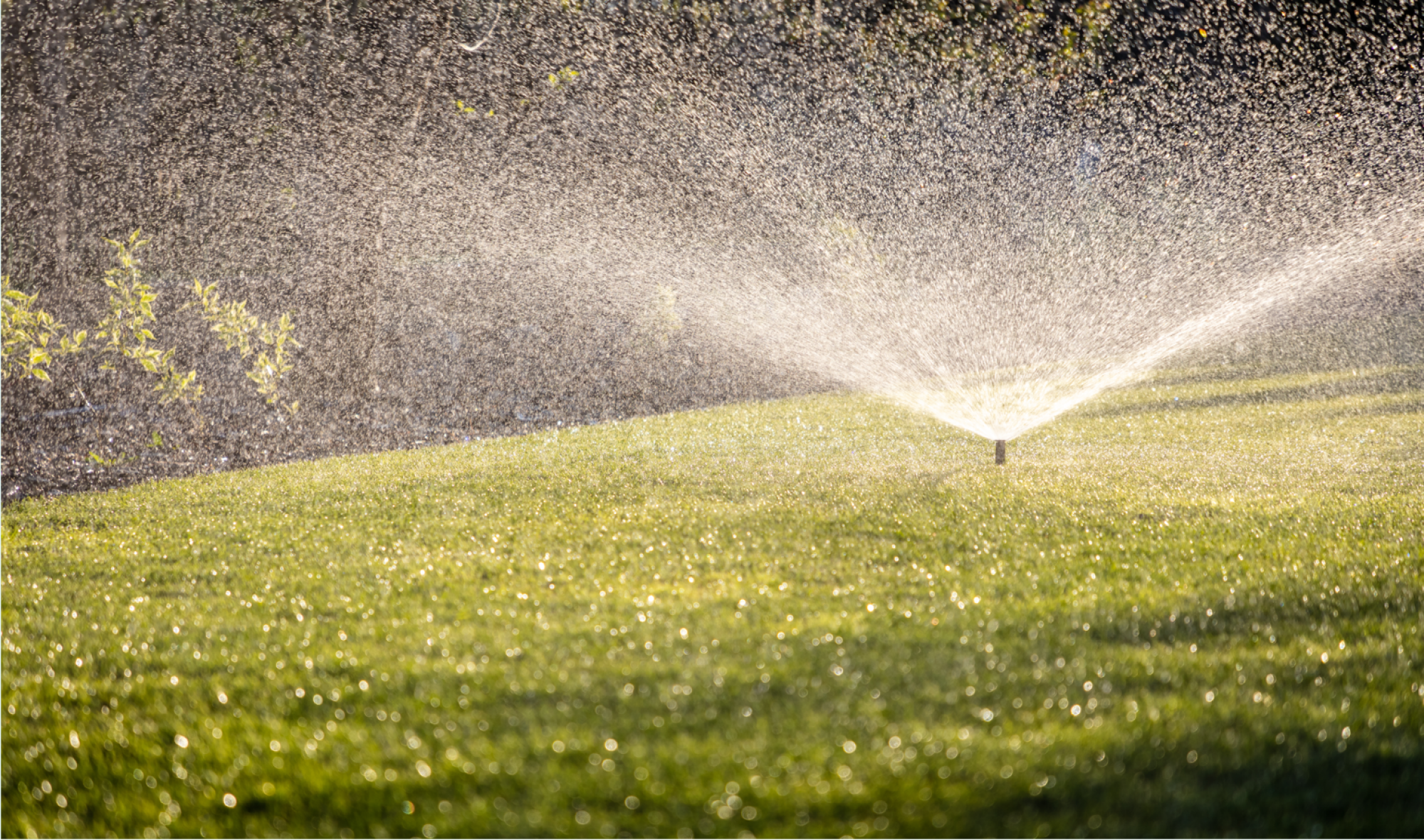 Mise en place de système d'arrosage
