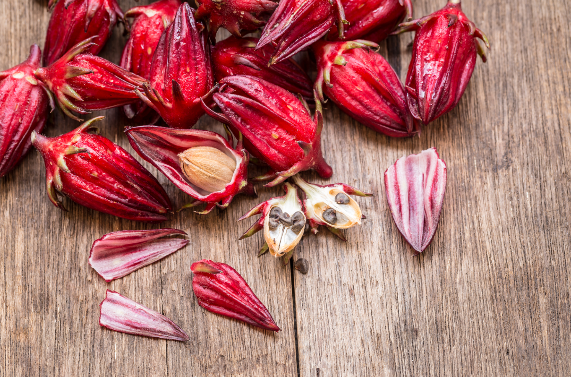 Service de culture d'hibiscus