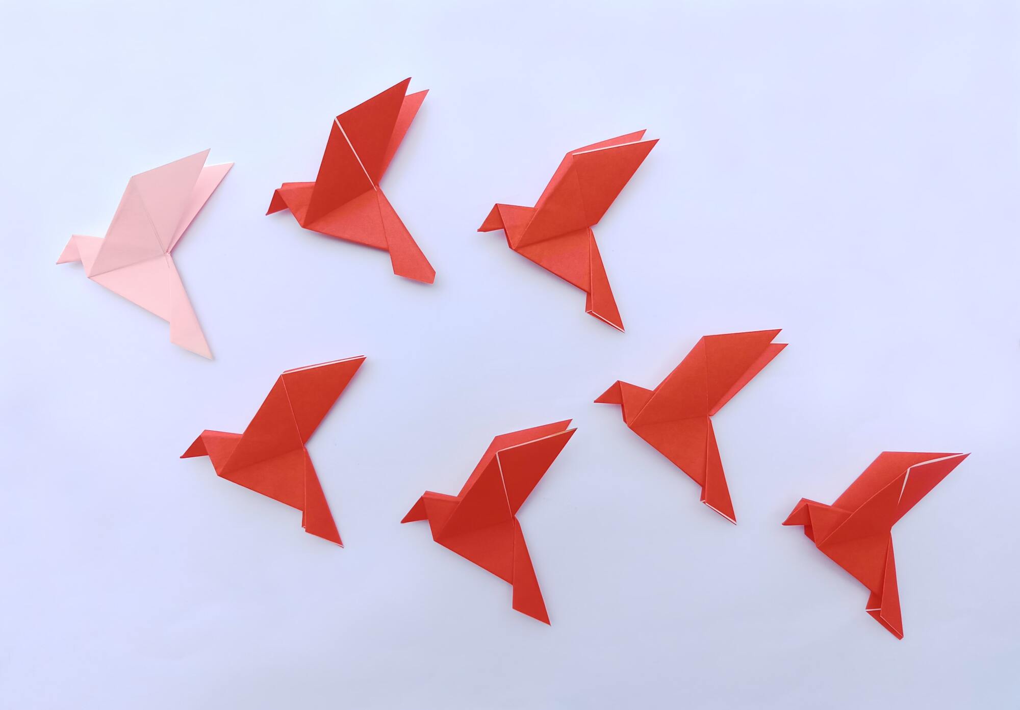 Décoration murale origami