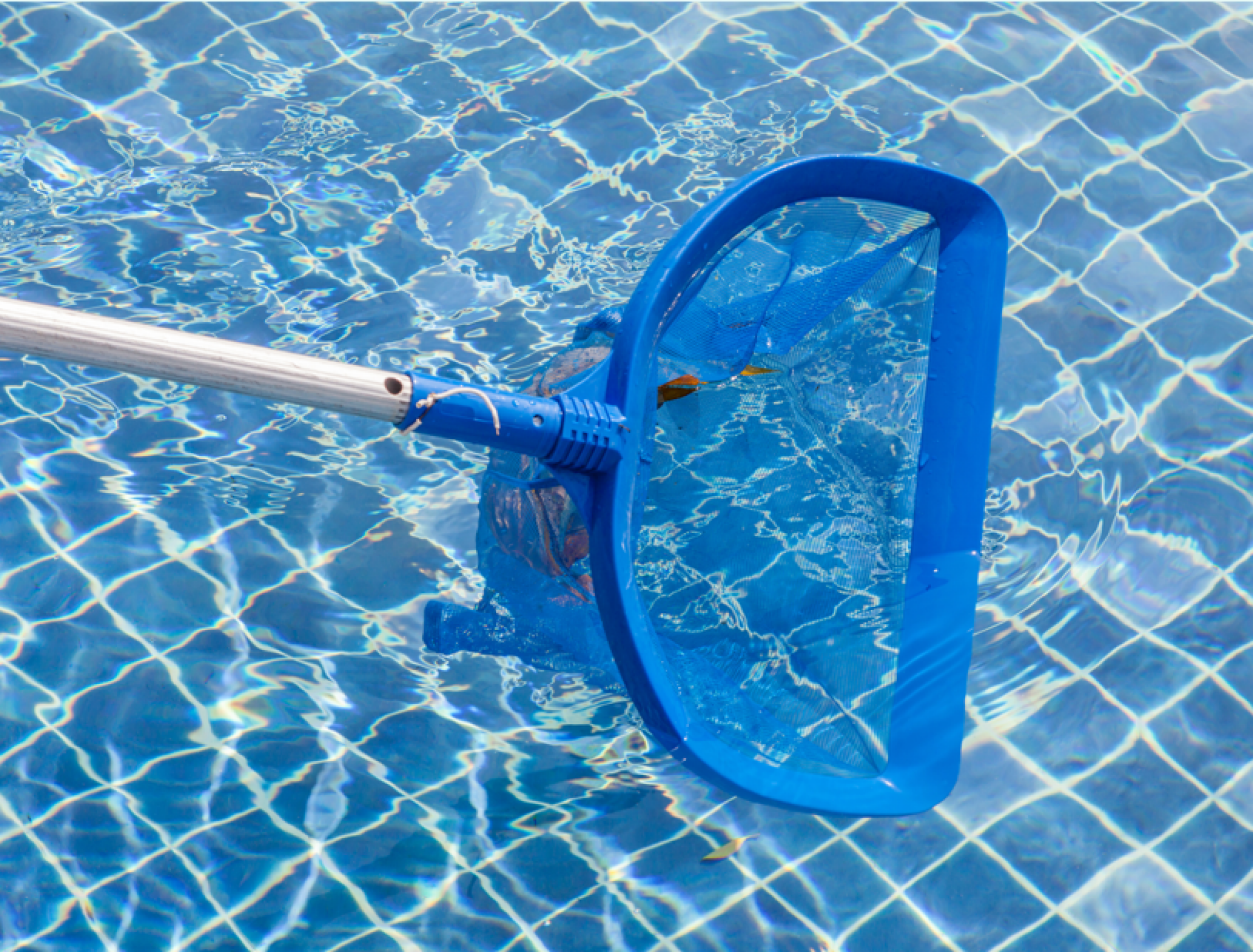 Fourniture d'épuisette pour piscine