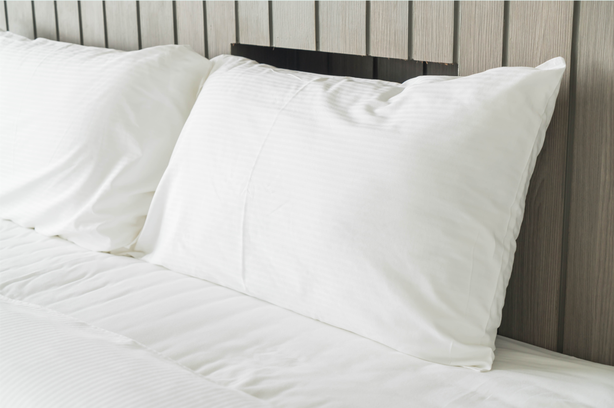 Oreiller grand format