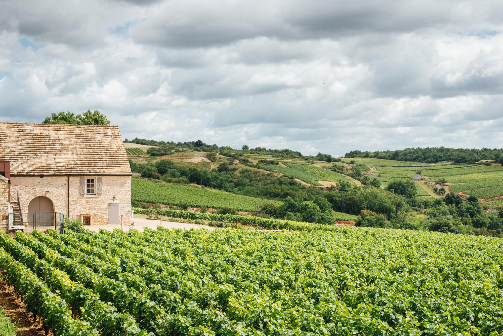 Dégustation de vins de Bourgogne