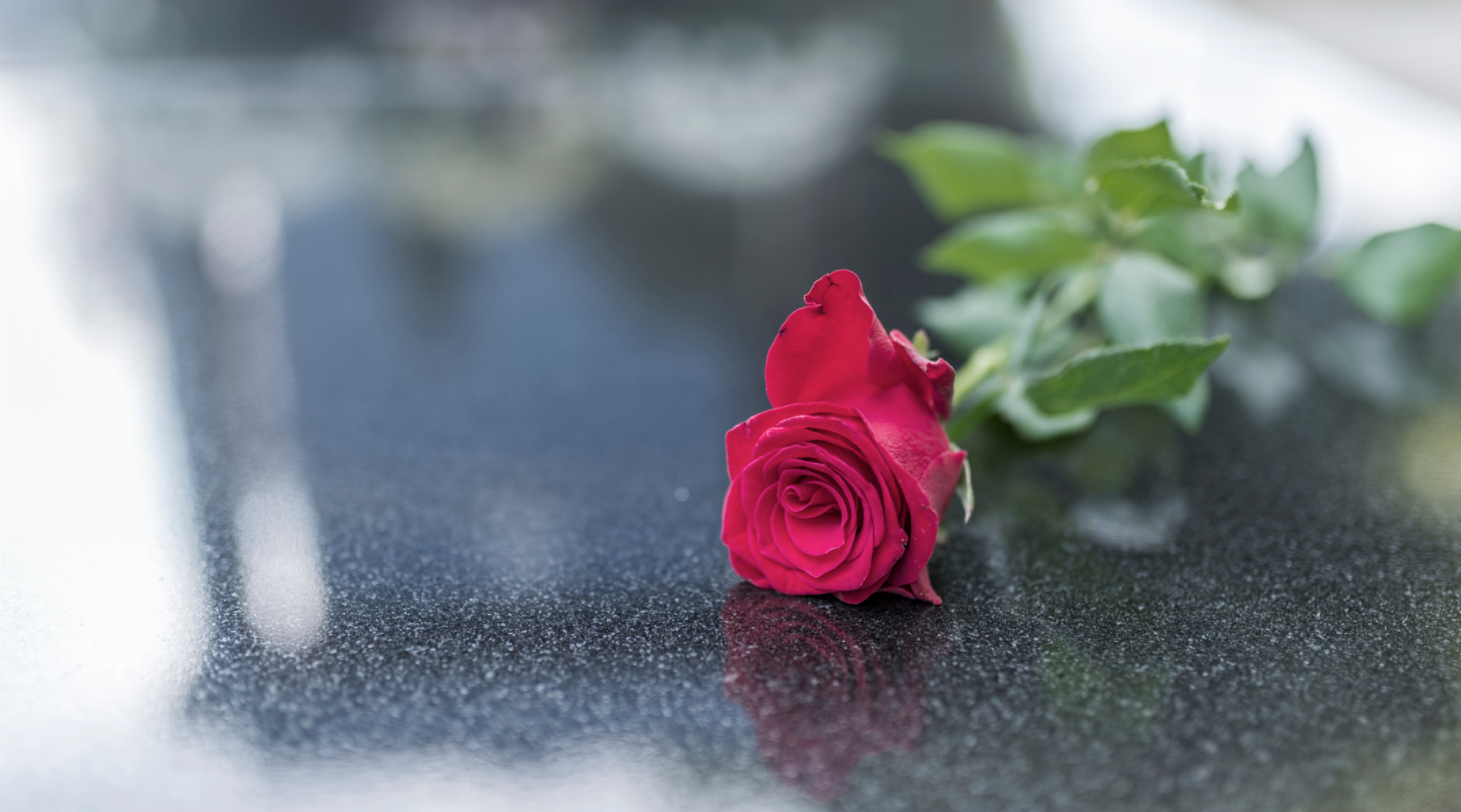 Fourniture de monument funéraire