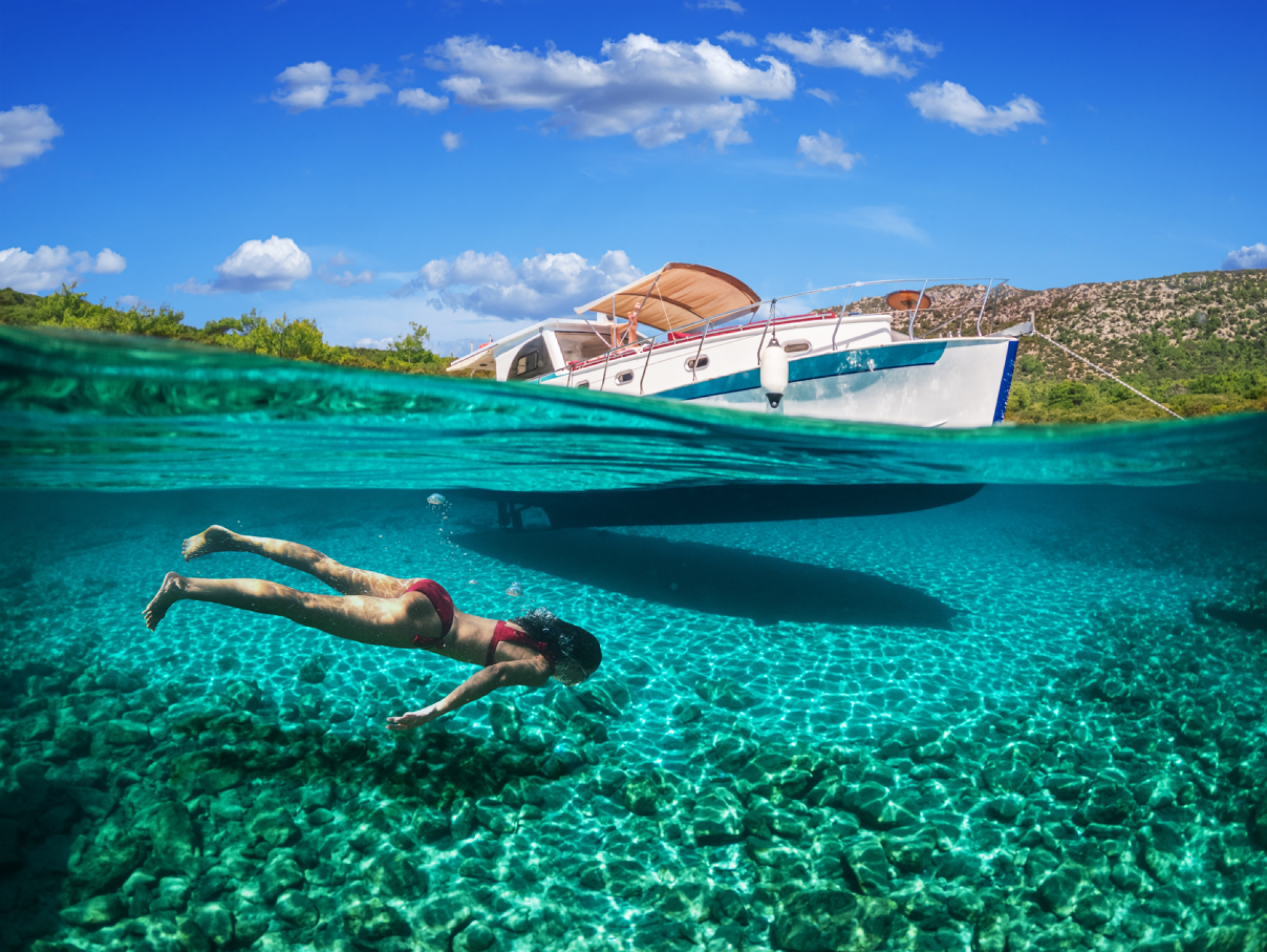 Croisière d'une journée organisée