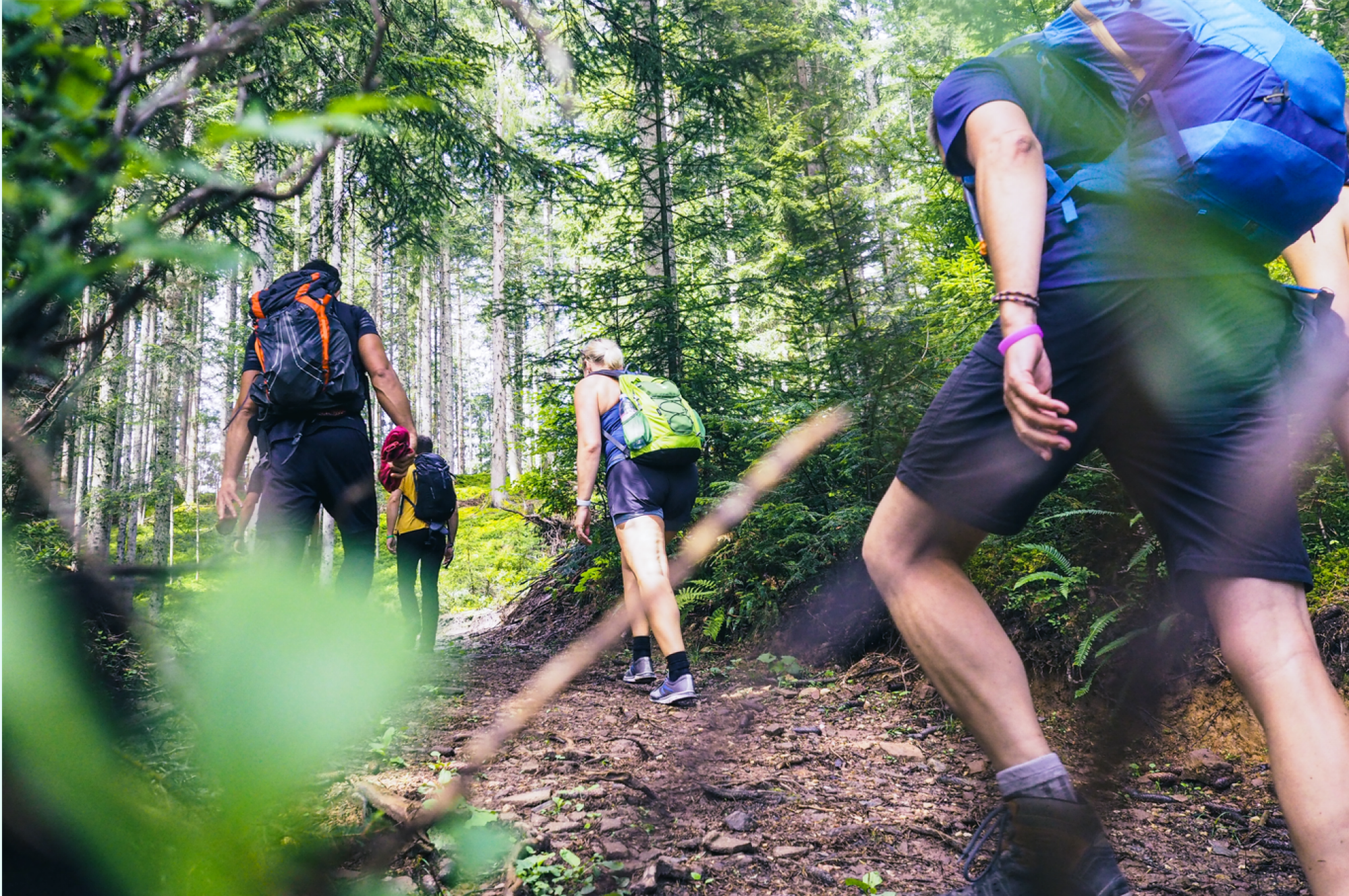 Excursion en milieu naturel