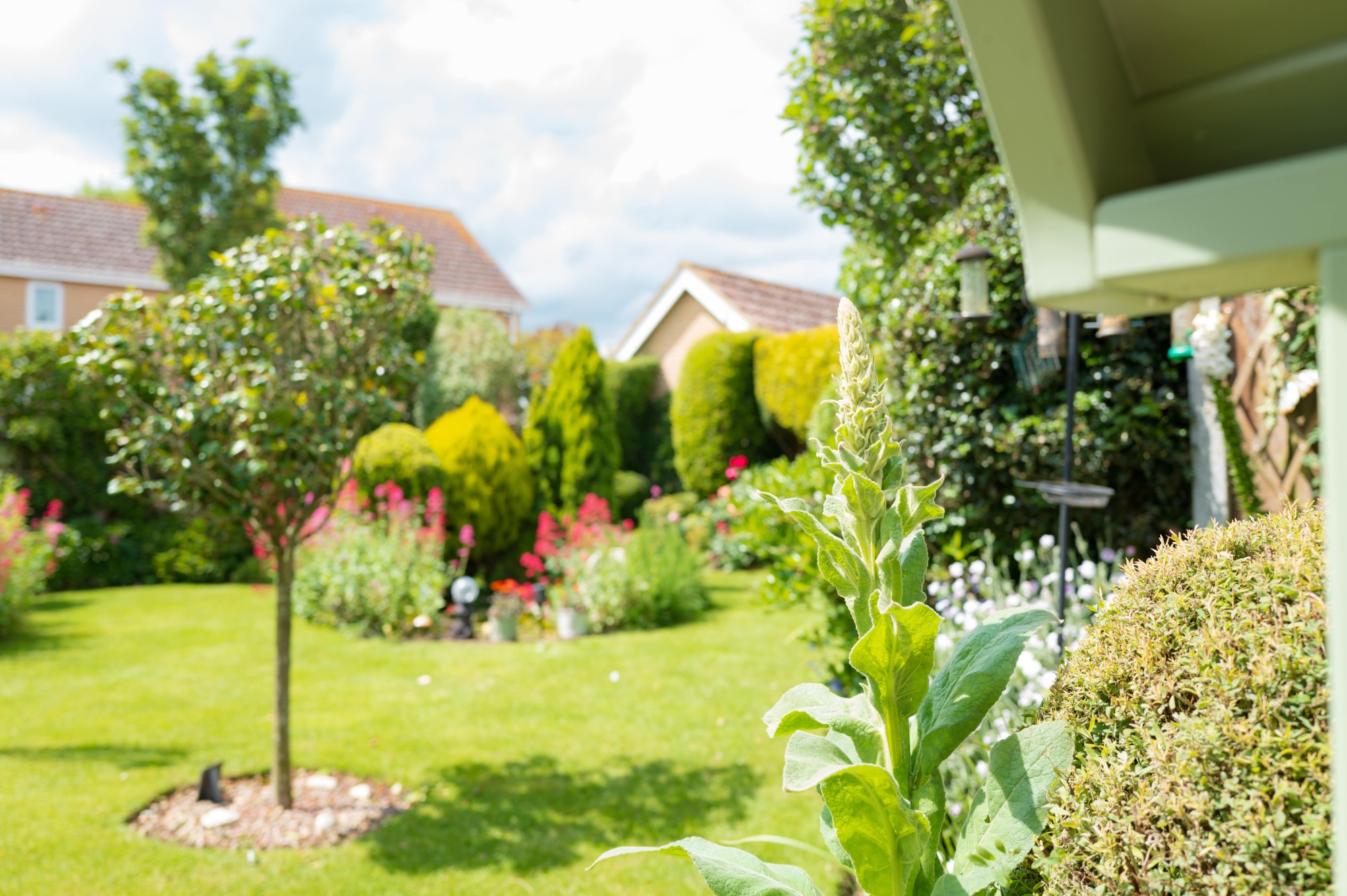 Aménagement extérieur