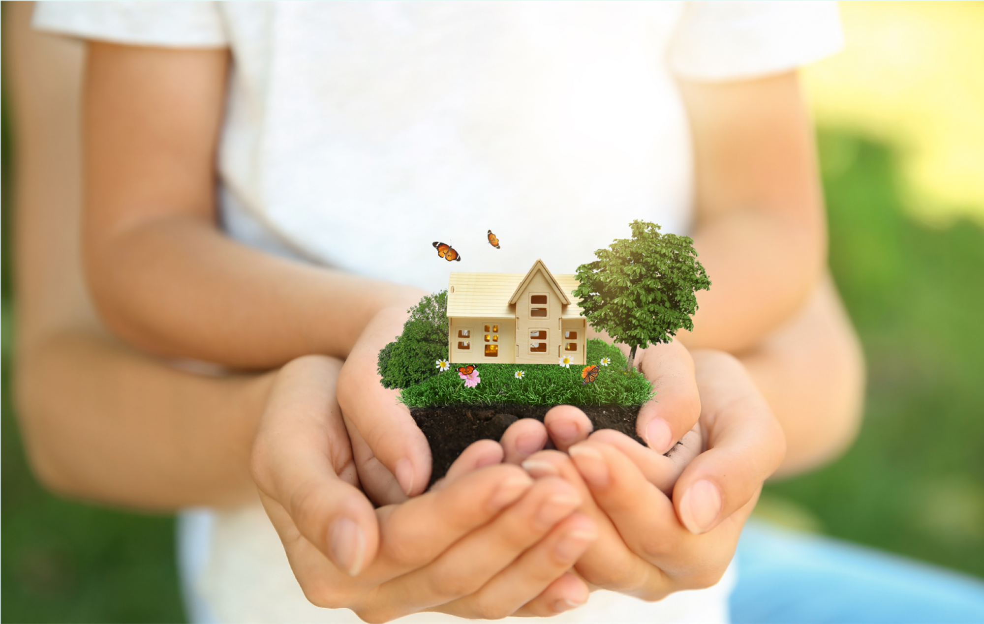 Conception de terrain constructible