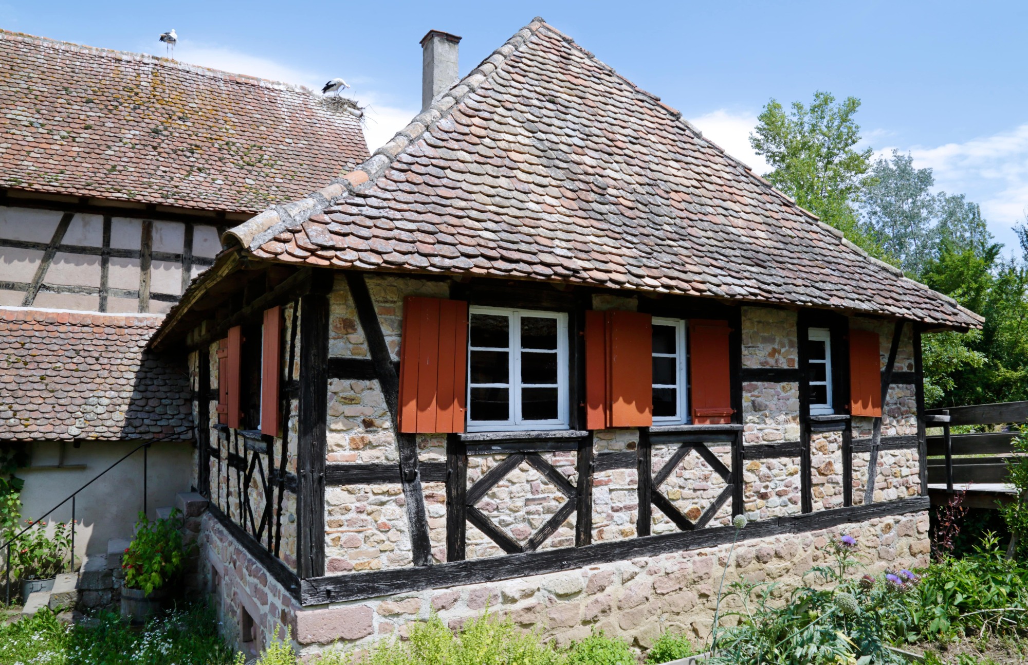 Démoussage de façade